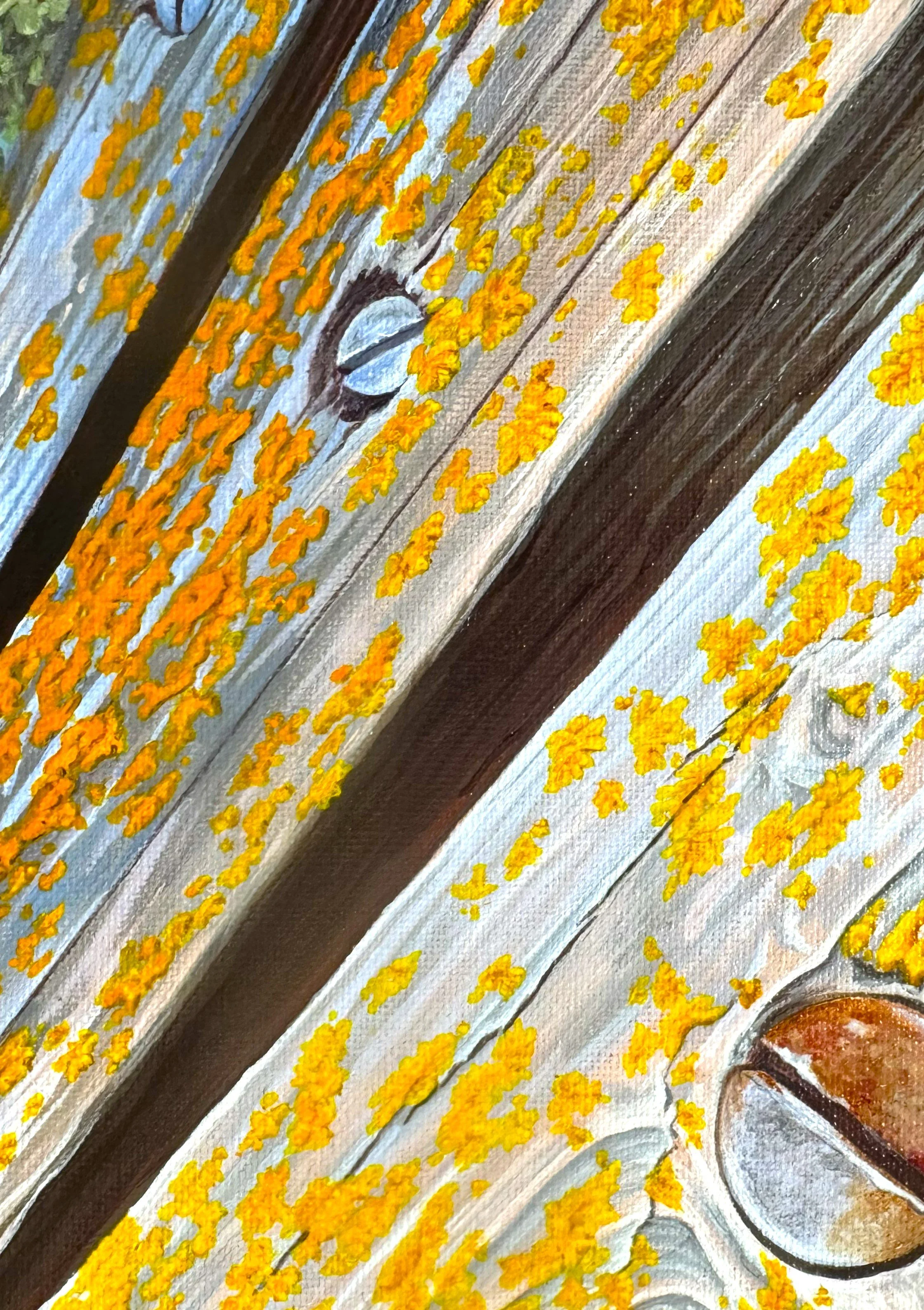 BENCH WITH LICHEN (2025)