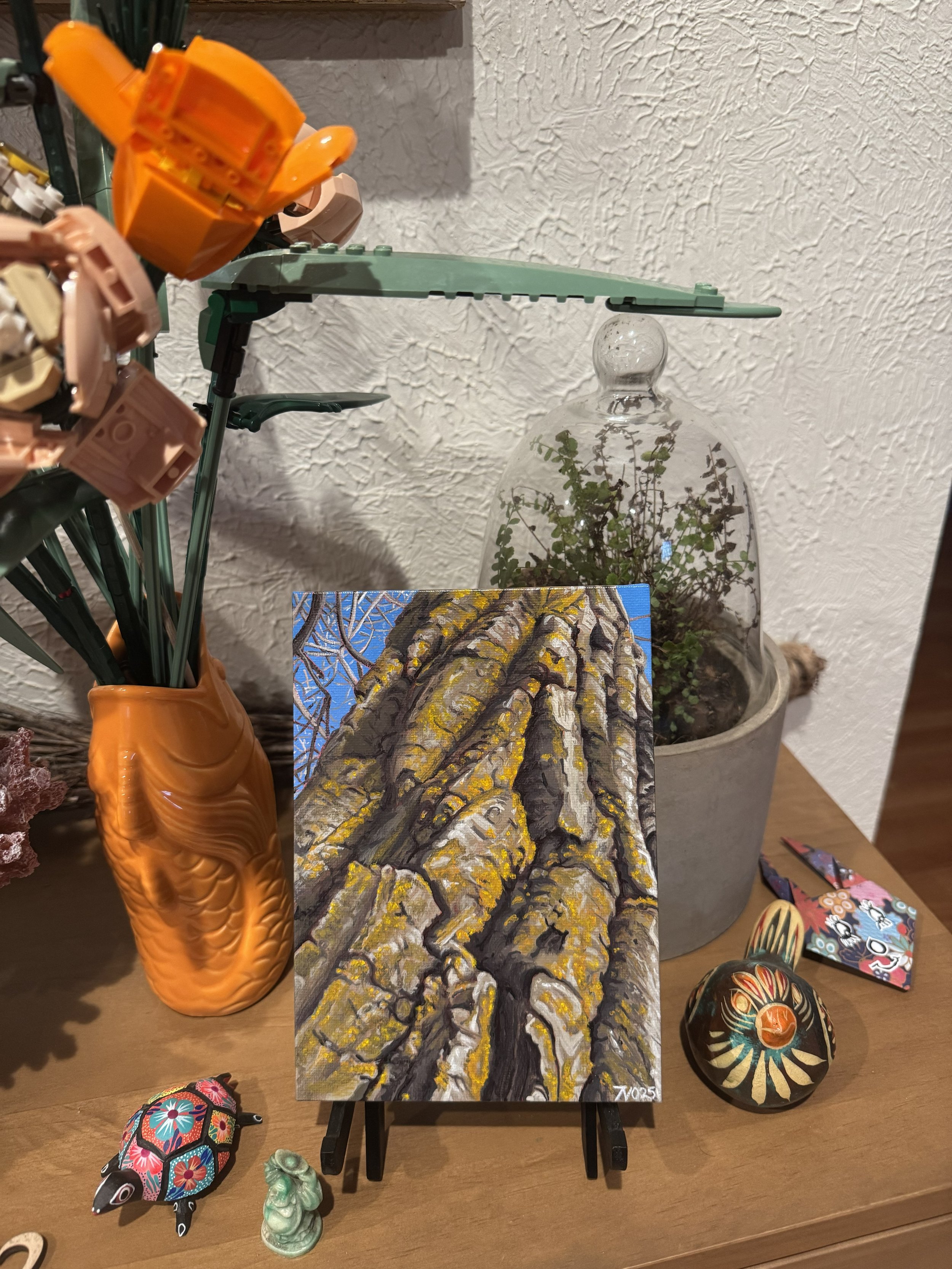 CottonwoodDisplay.jpg