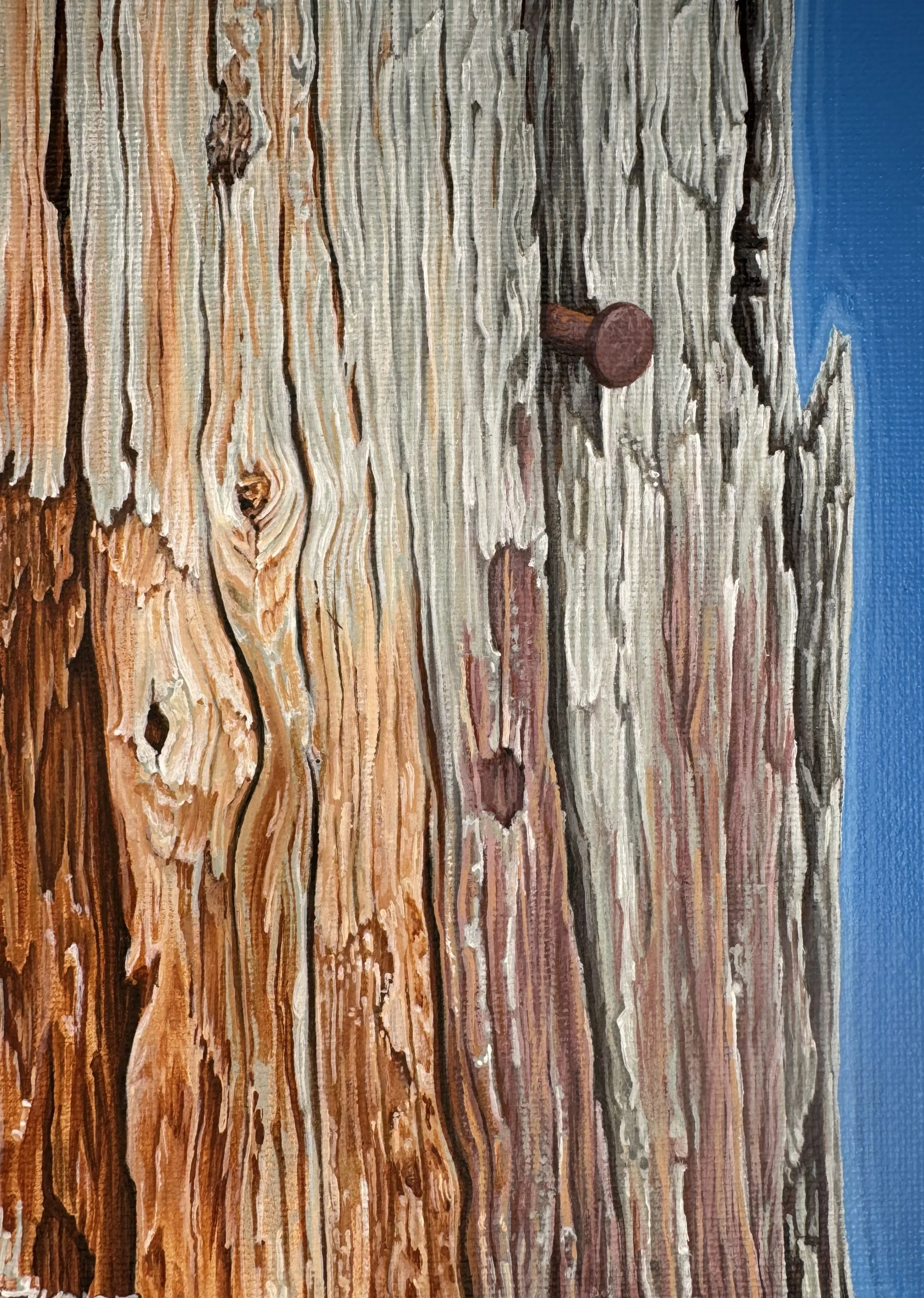 FENCE POST MACRO (2025)
