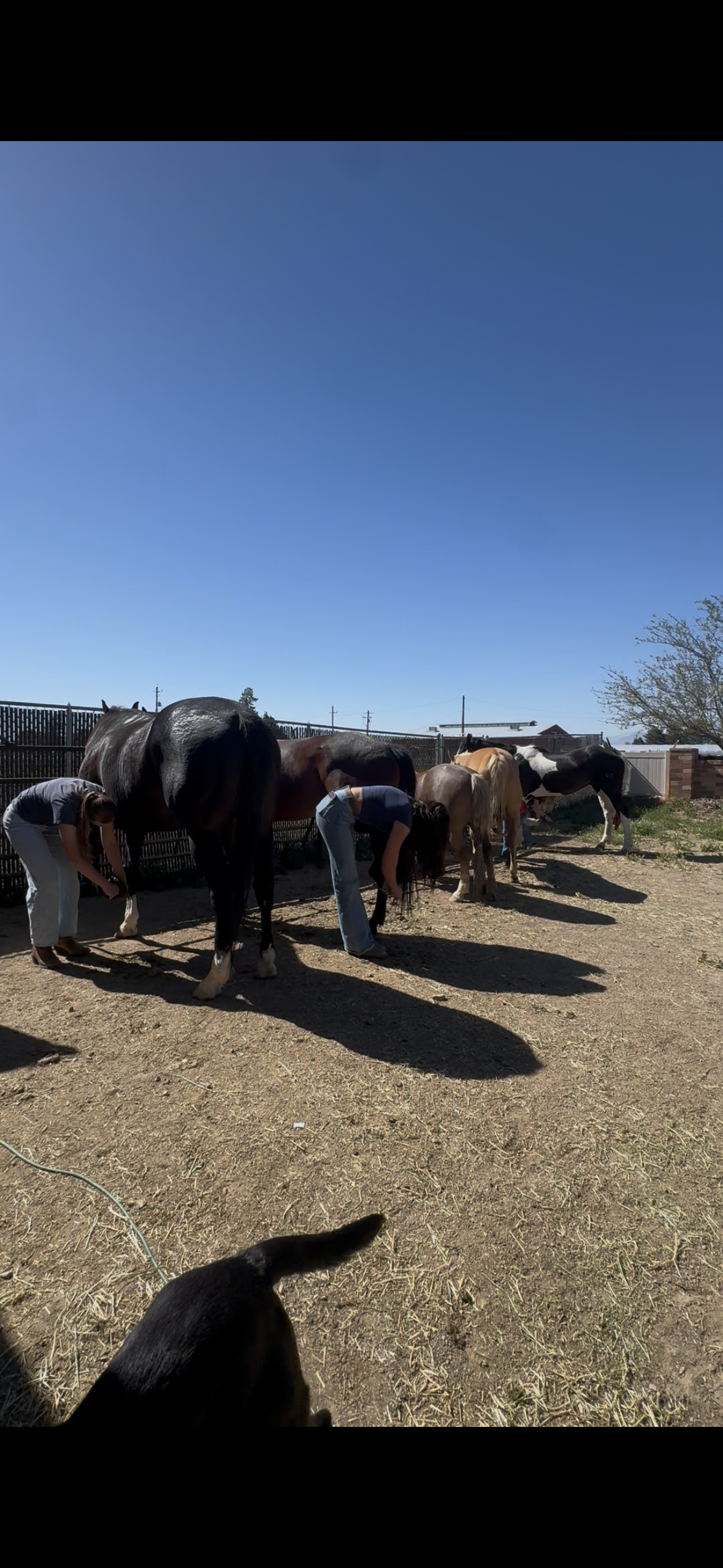 Group Lessons