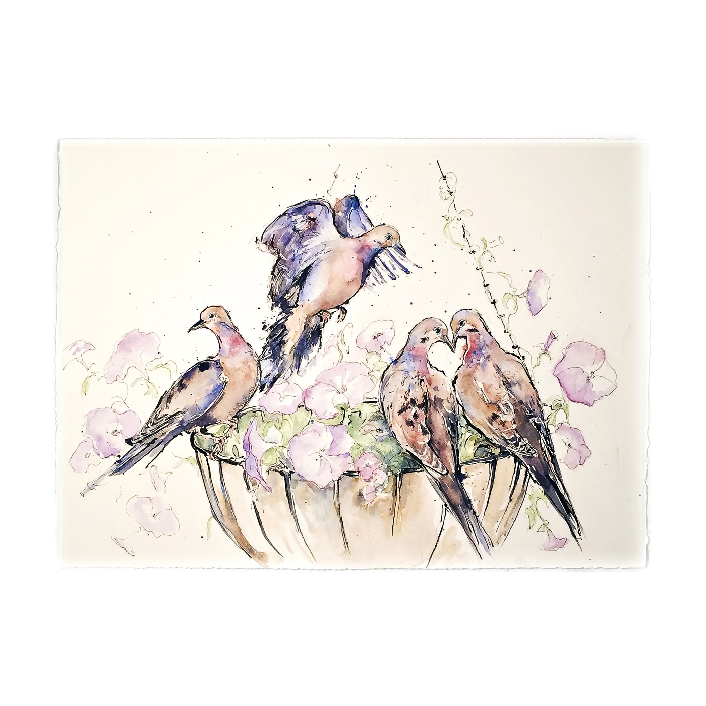A Basket of Doves
