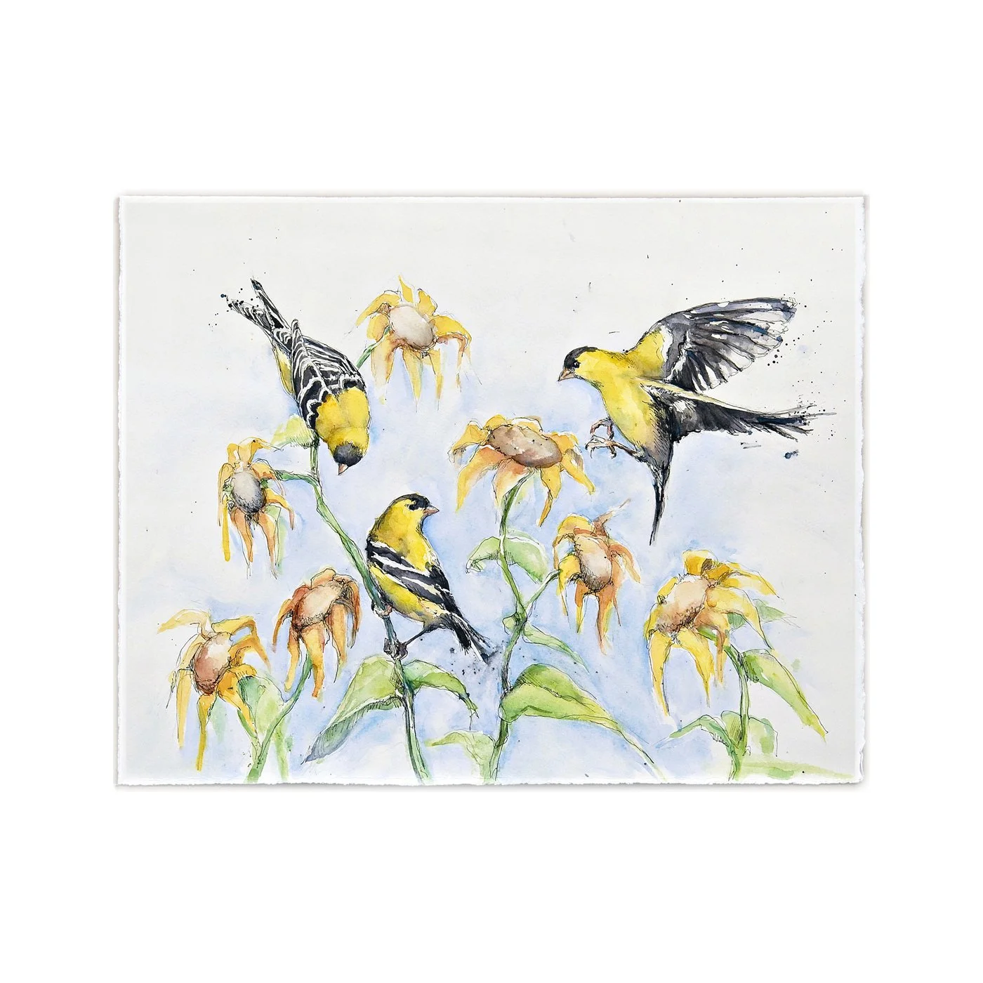 Goldfinch Glory
