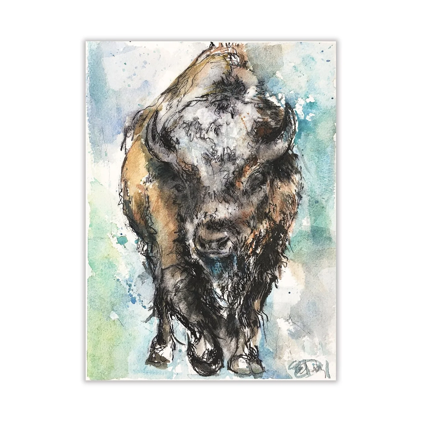 bison #2