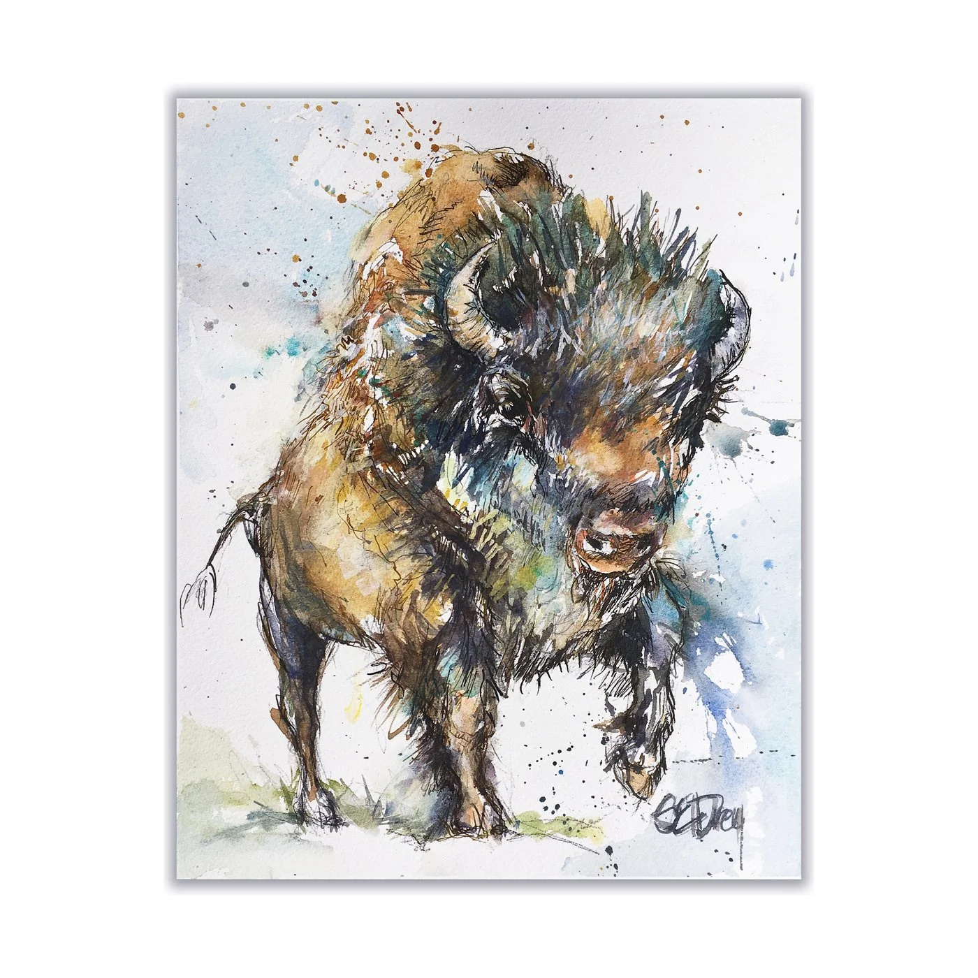 Bison #5