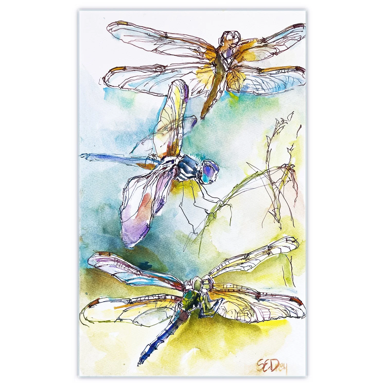 Dragonflies rising