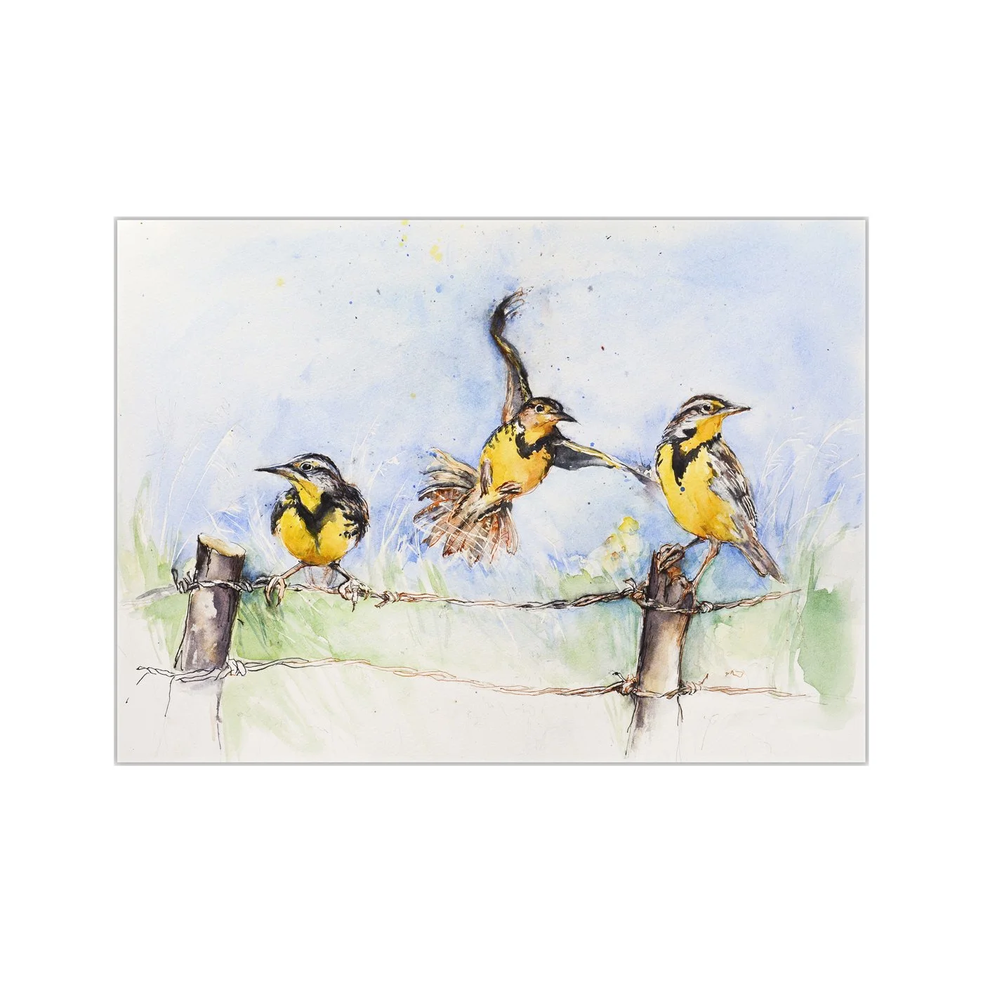 Meadowlark Merriment