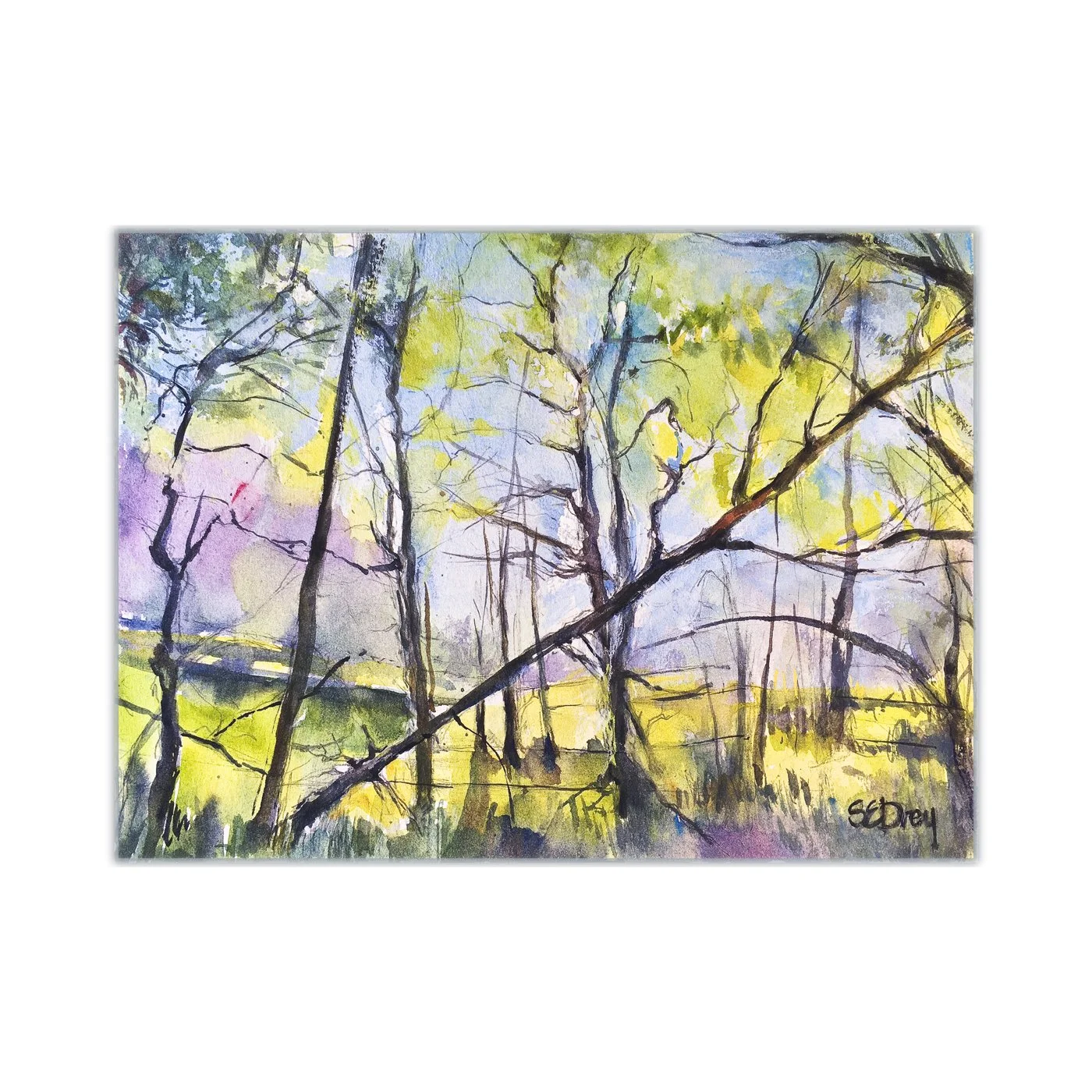 Saplings