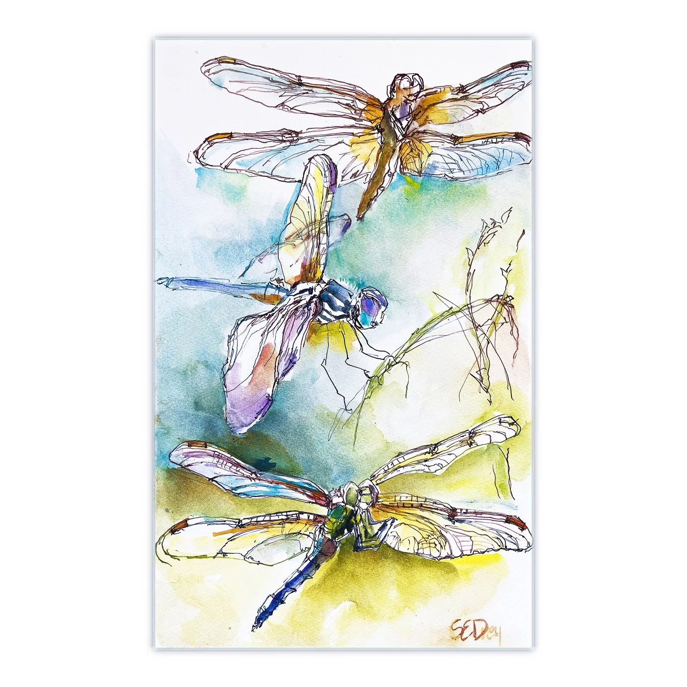 Dragonflies Rising