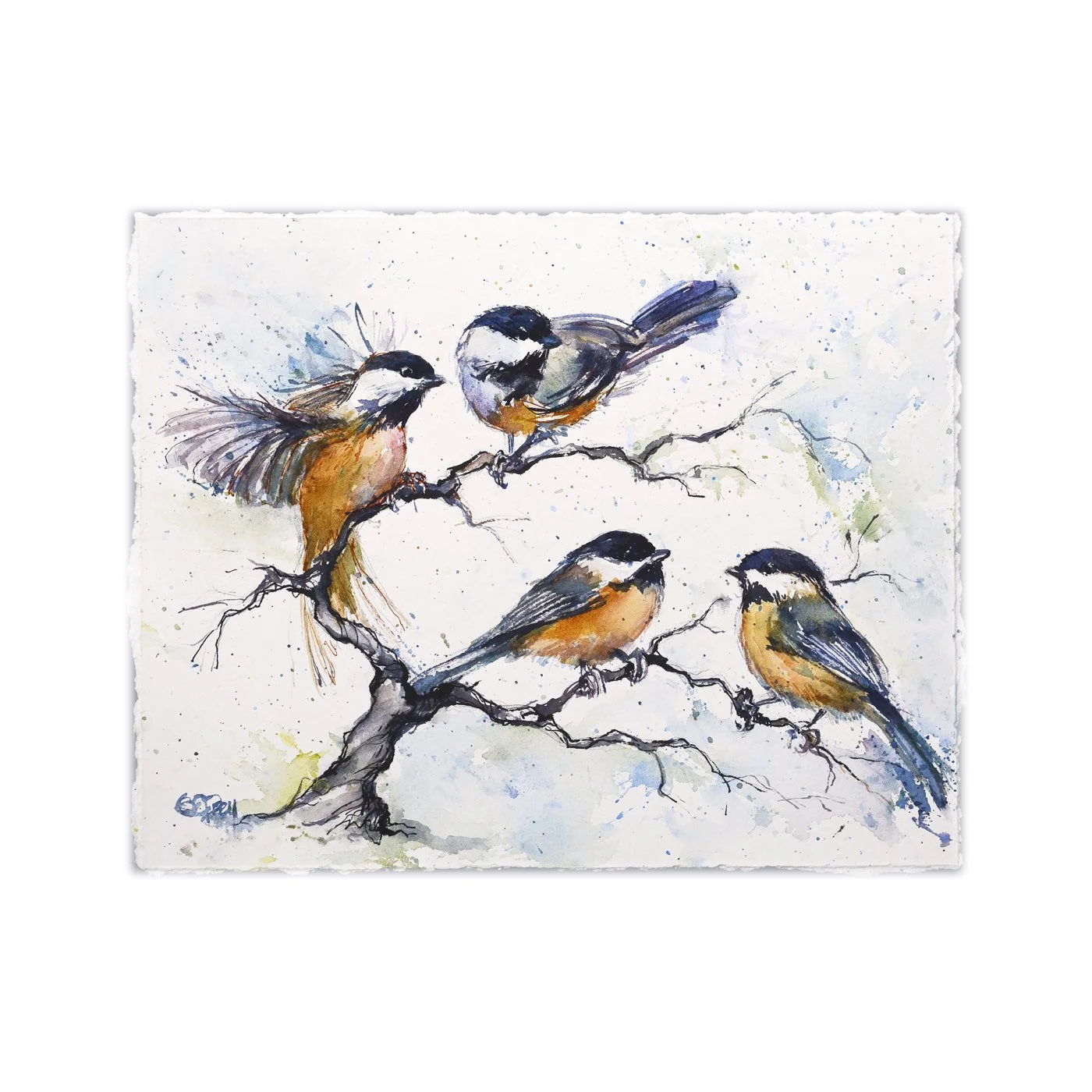 Chicks in Mist
