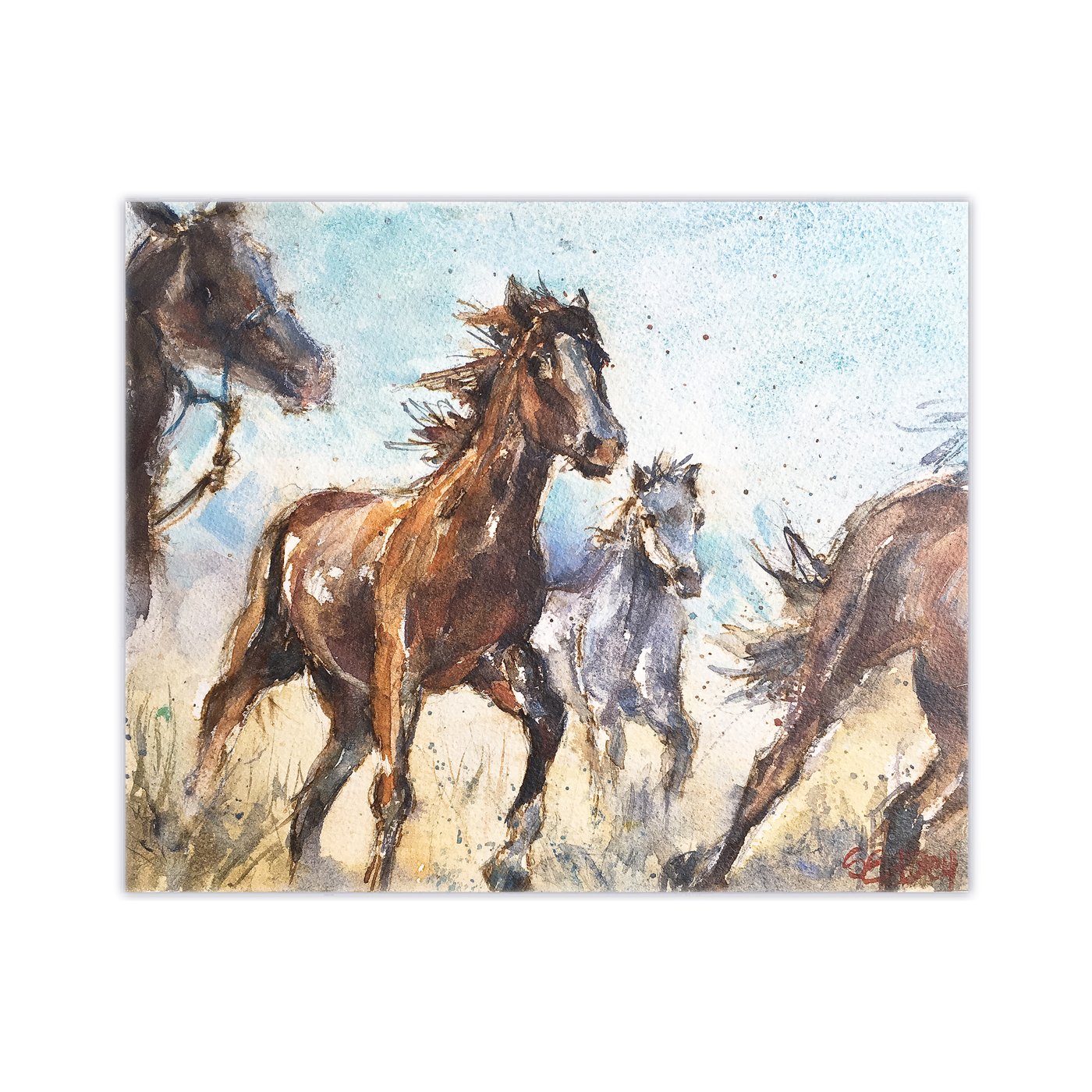 Stampede