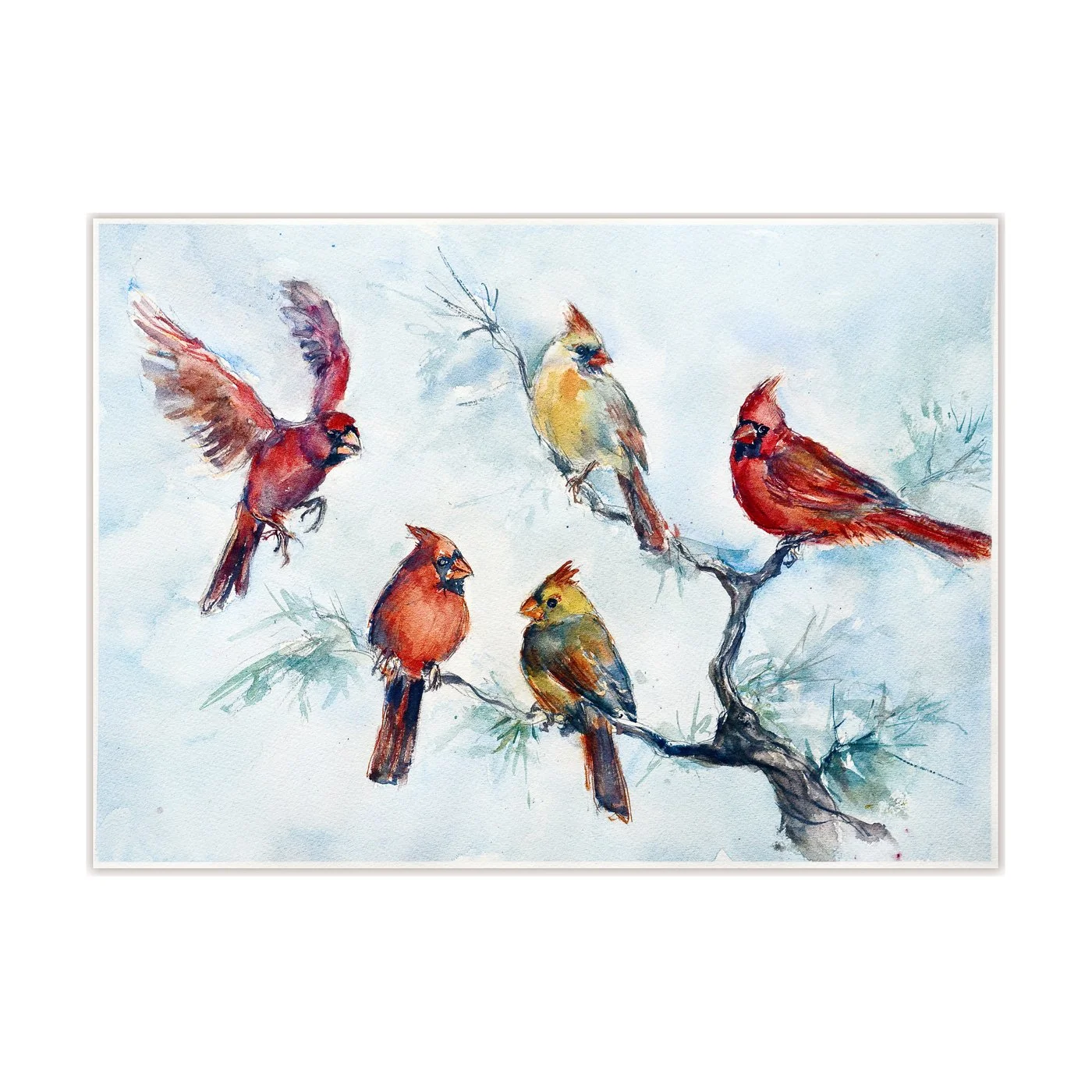 Cardinals