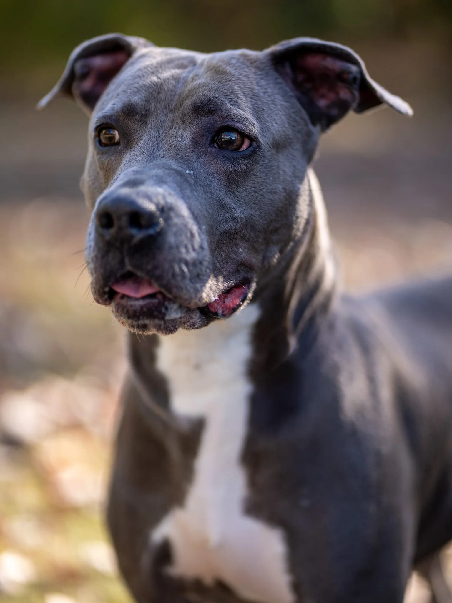 Cherry - A282561-4.jpg