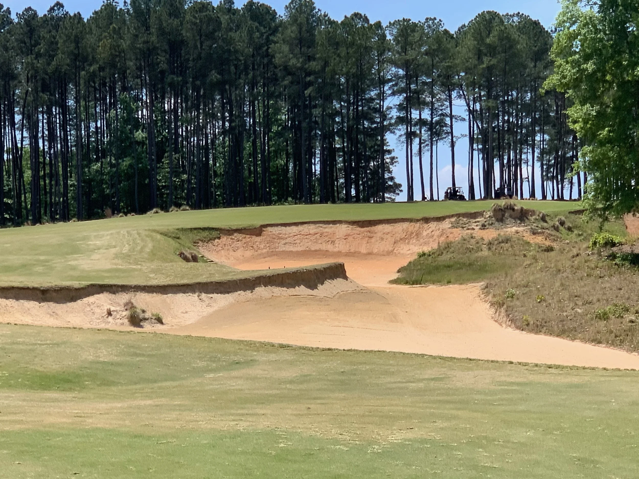 The Sand Hills of North Carolina