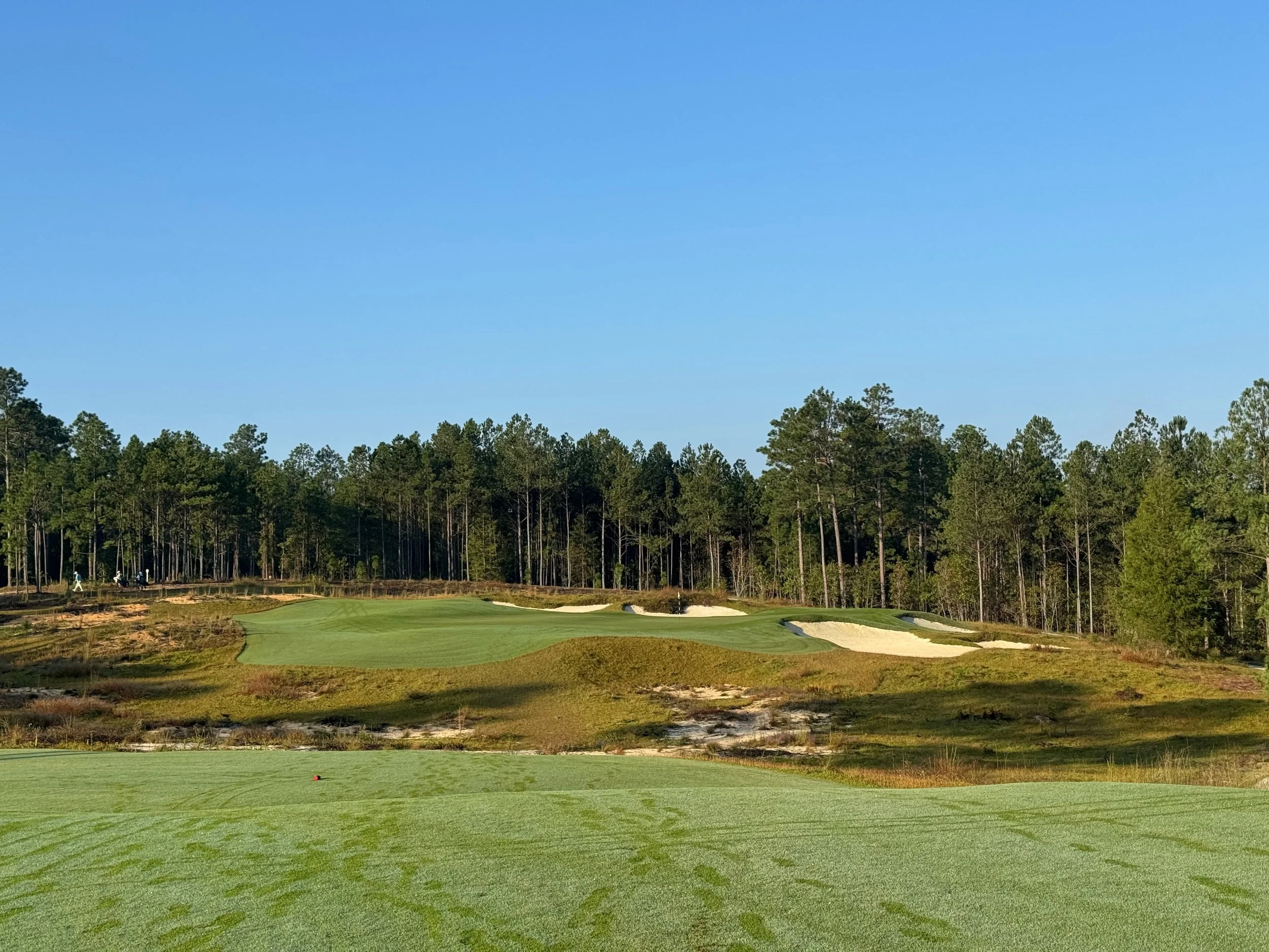 Pinehurst No. 10 (Sandmines) is a true gem.