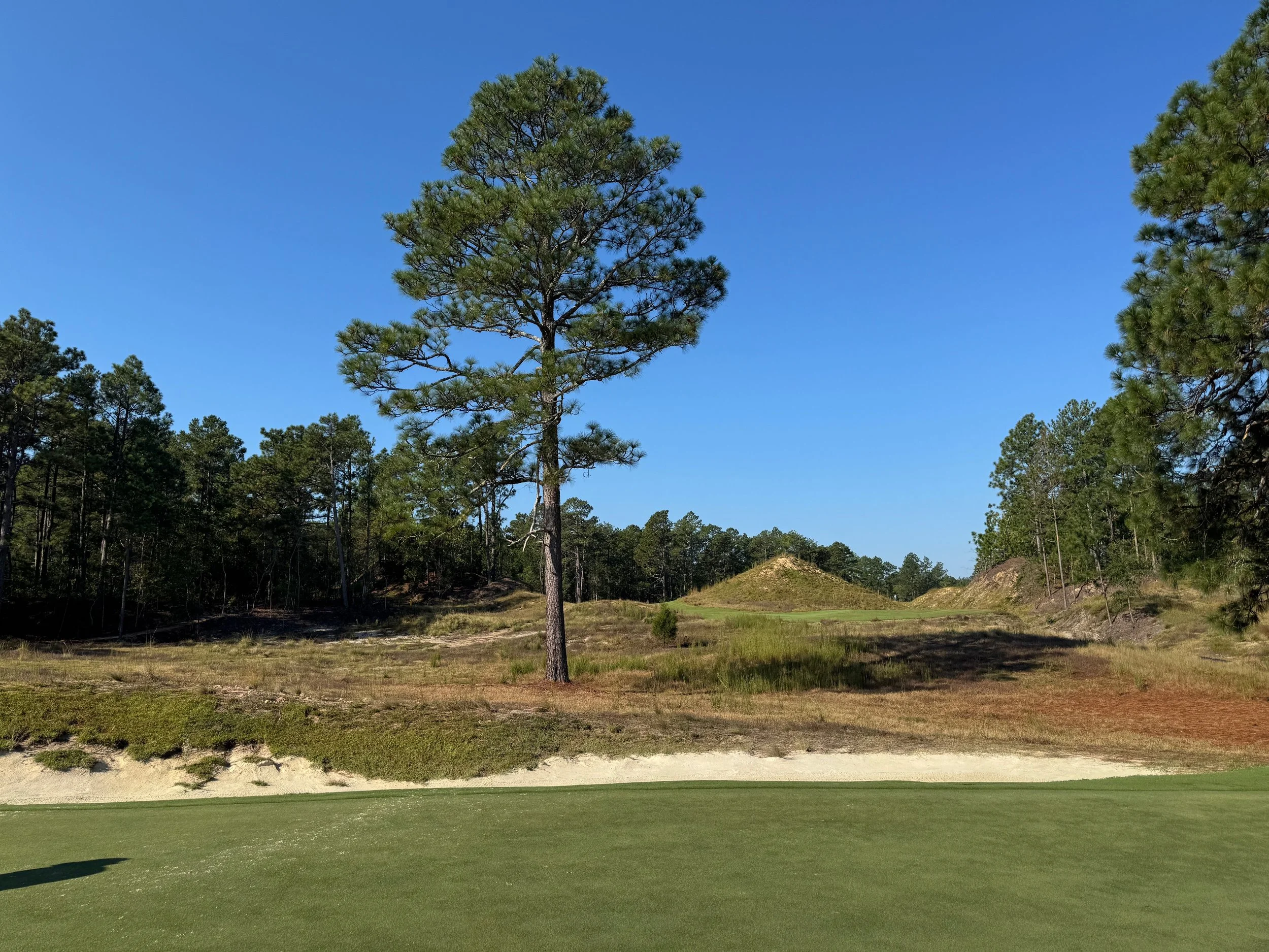 The new Sandmines (Pinehurst No. 10) is magical. Pushing to be one of the very best courses at the resort.