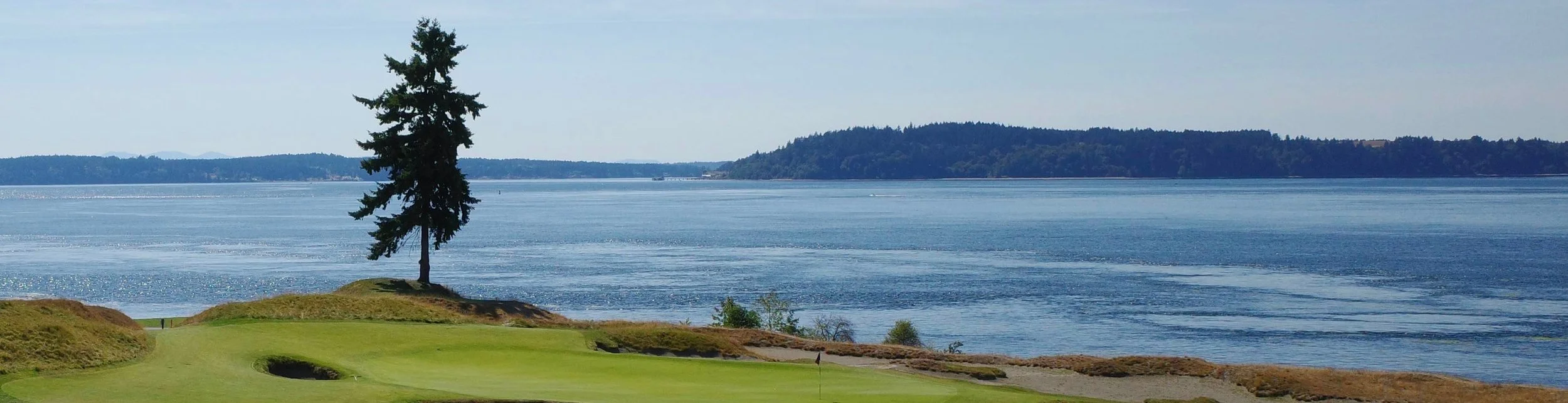 A scenic view of a Chambers Bay golf course with a green, sand traps, and a tall tree, overlooking a large body of water with land and trees in the background.