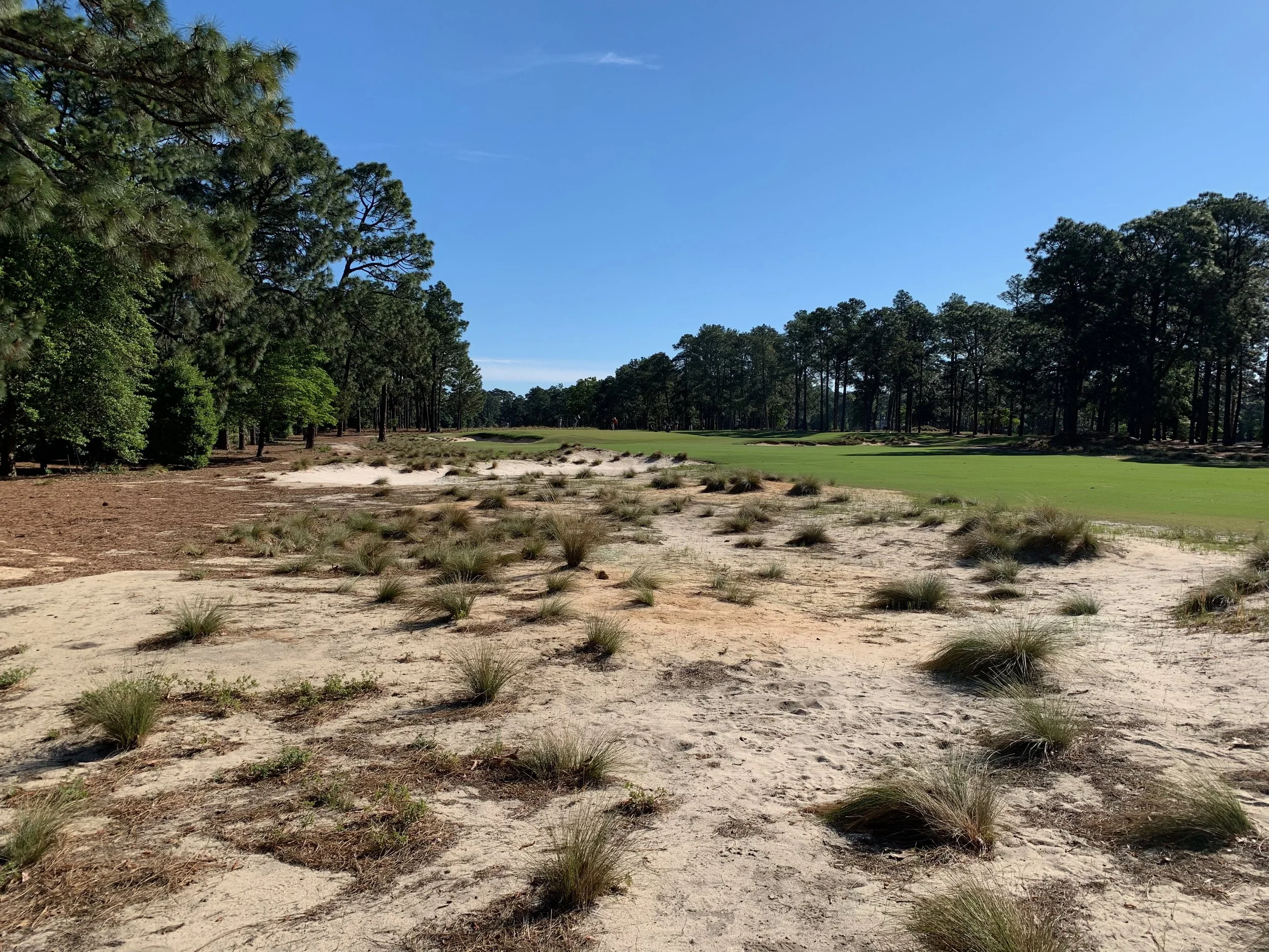 Pinehurst No. 2 is so hard - and it never looks like it should be, until you look at your scorecard.