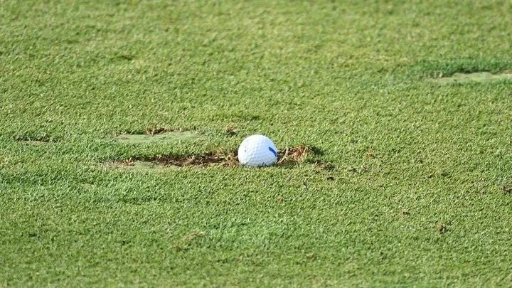 A golf ball resting in a divot or hole on a golf course fairway.