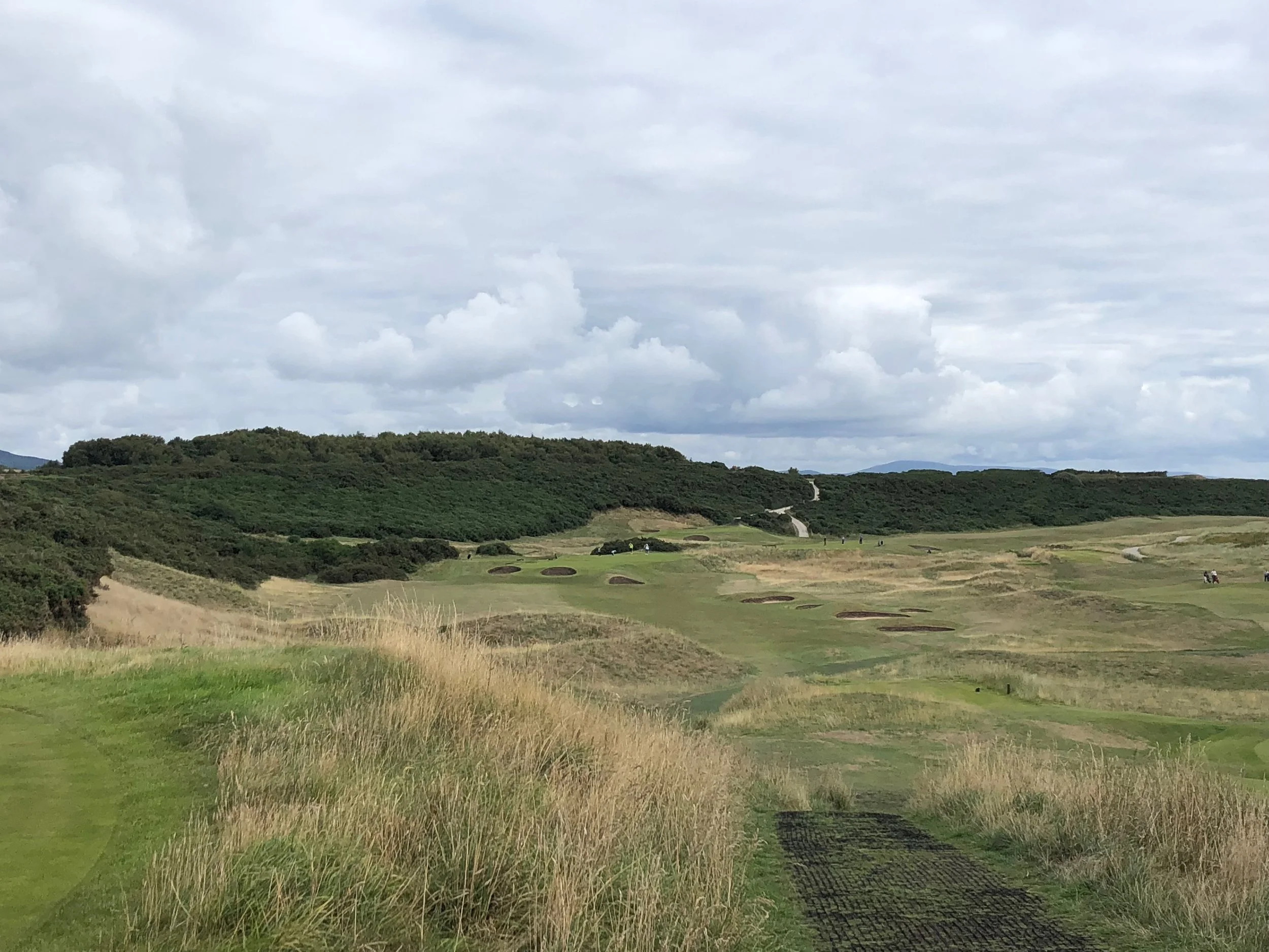 Royal Dornoch Golf Course in Inverness, Scotland with patches of grass, bushes, and trees under a cloudy sky.