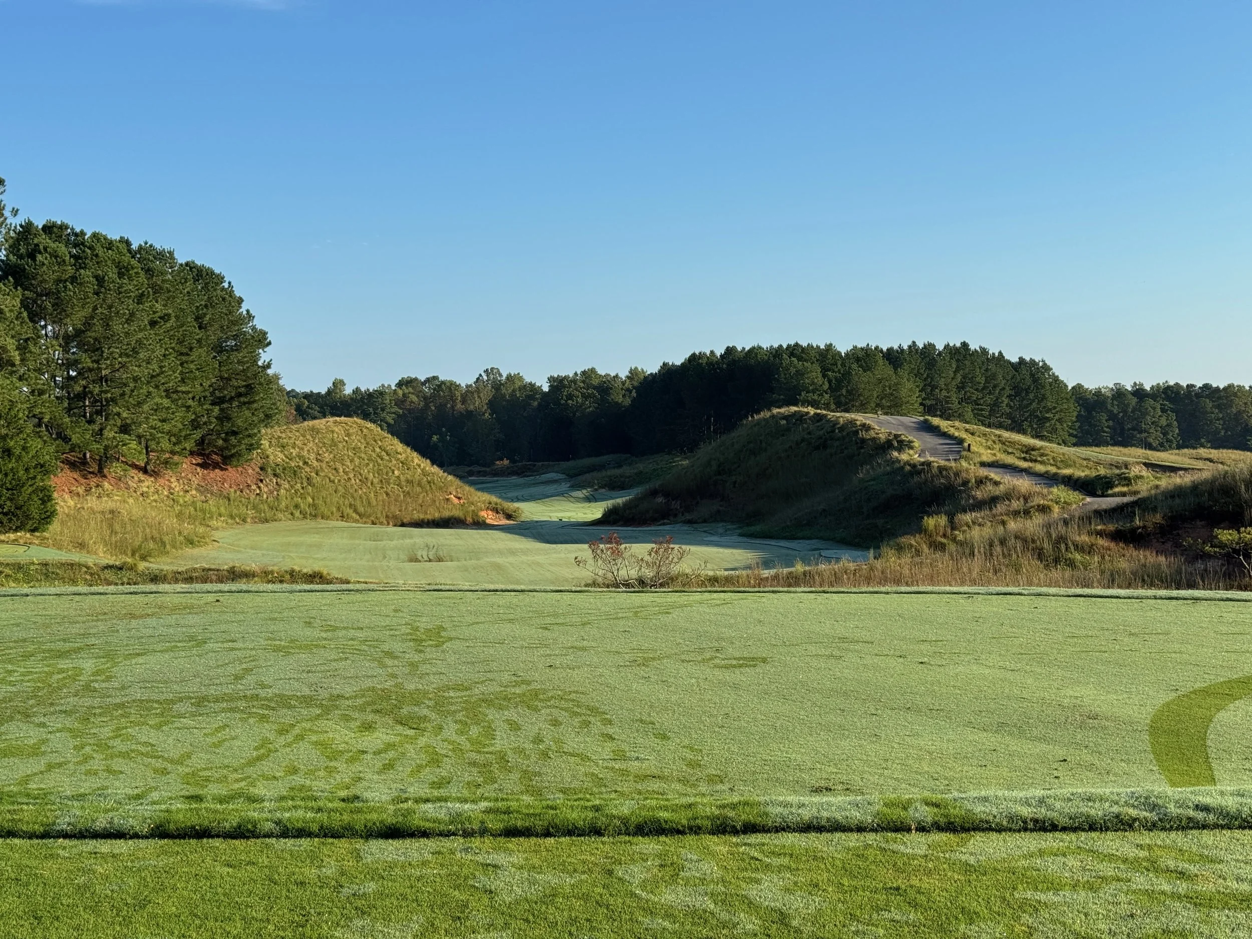 The opening hole at Tobacco Road is perfect - like so many holes on the course, it is deceptive in how it looks like there's no room but it is actually wide open.
