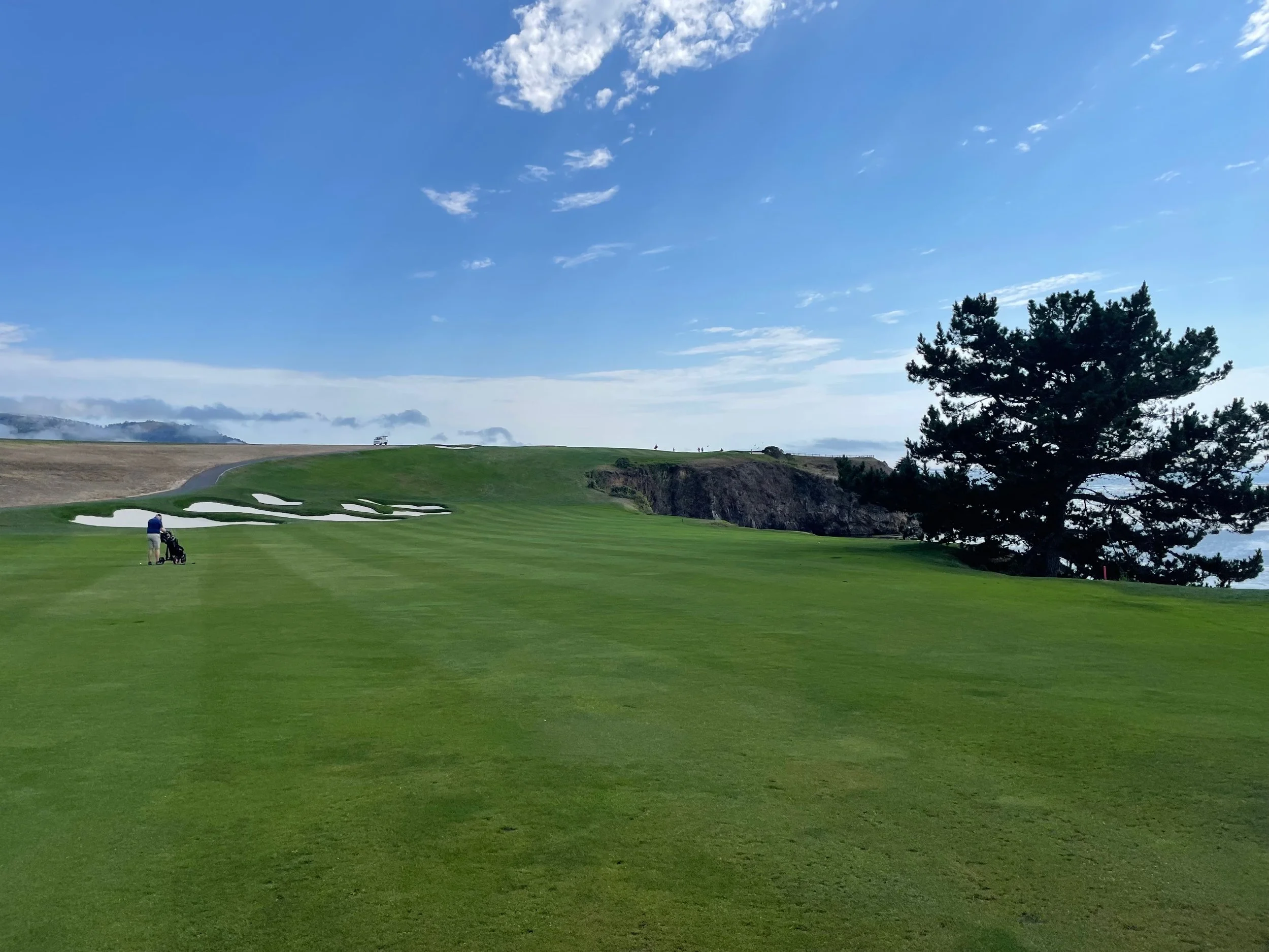 A man playing golf on Pebble Beach with a golfer pushing a golf cart, under a partly cloudy sky with a large tree on the right and mist or fog in the distance.