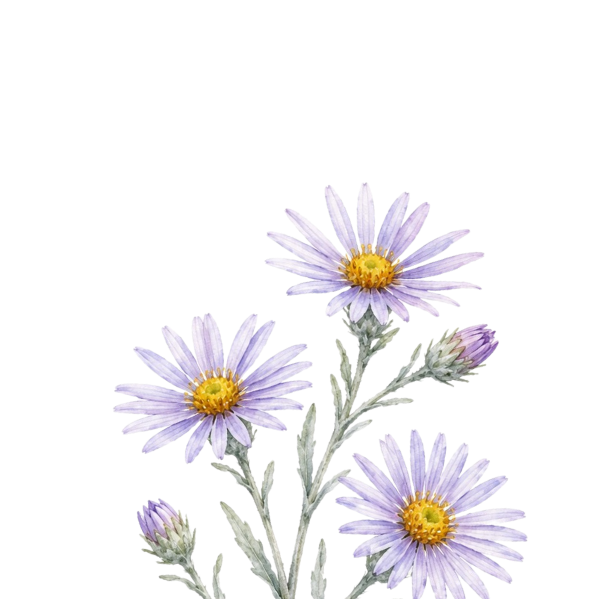 Soft, healing-inspired background for therapy website