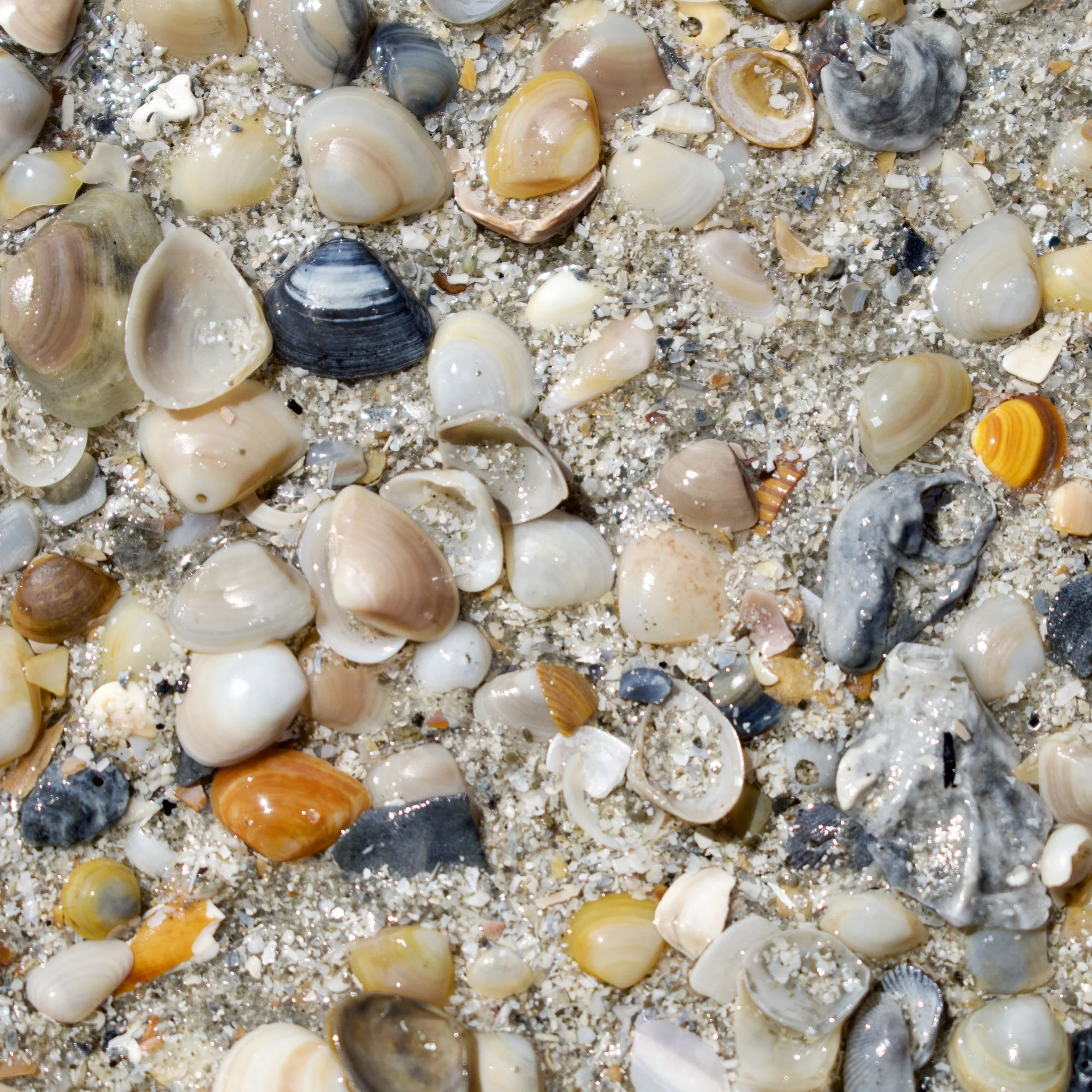 DSC_0417.jpeg