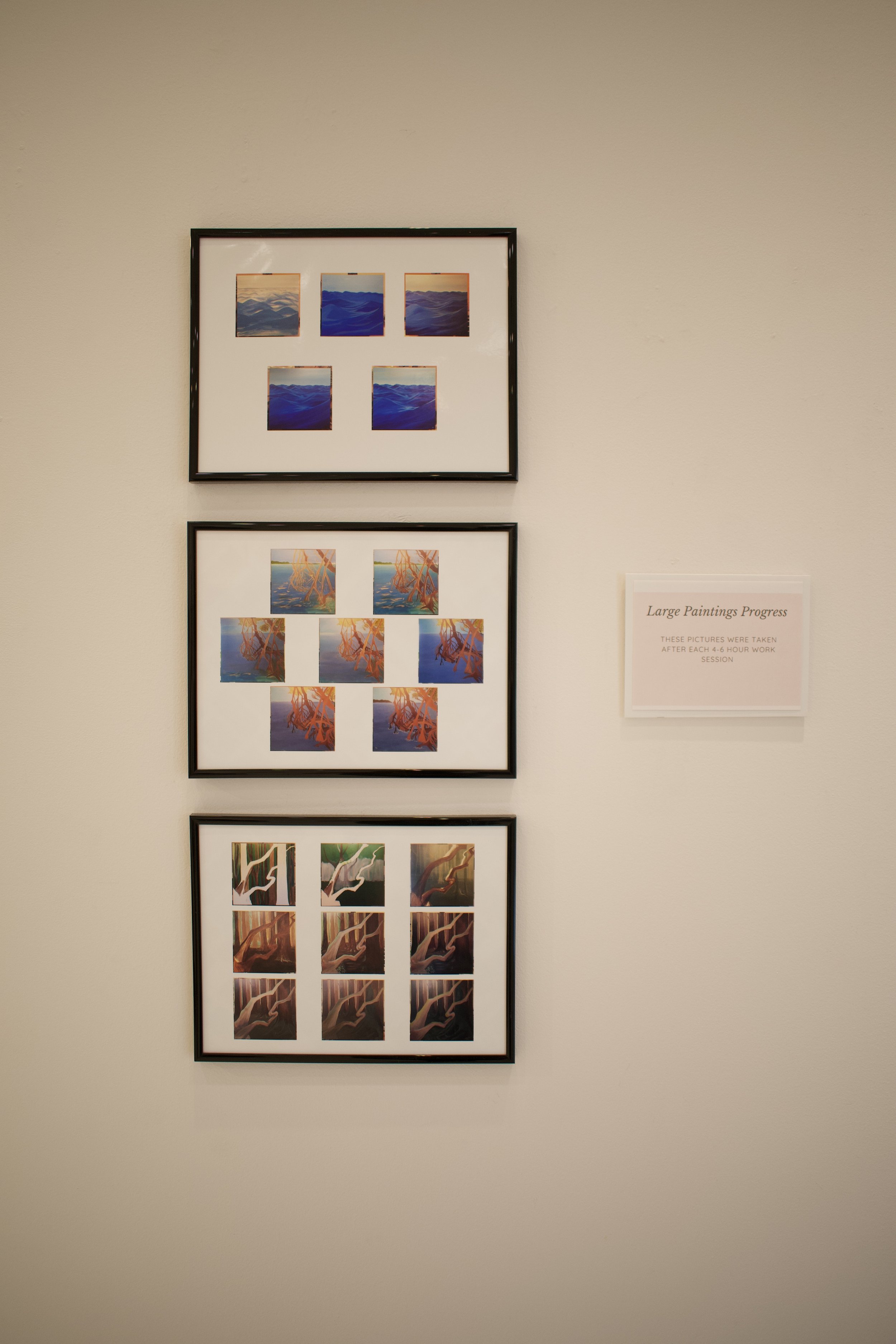 DSC_0855.jpeg