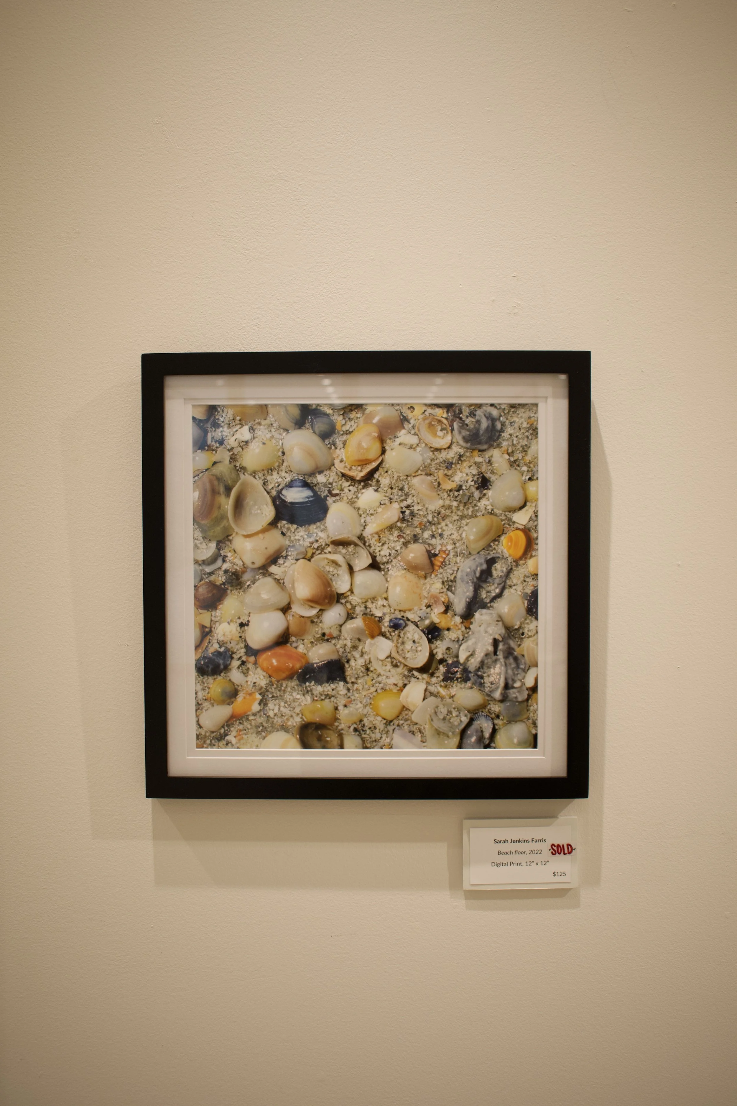 DSC_0759.jpeg