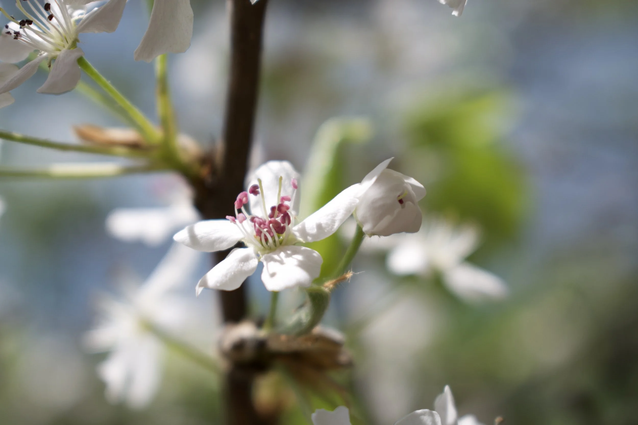 DSC_0165.jpeg