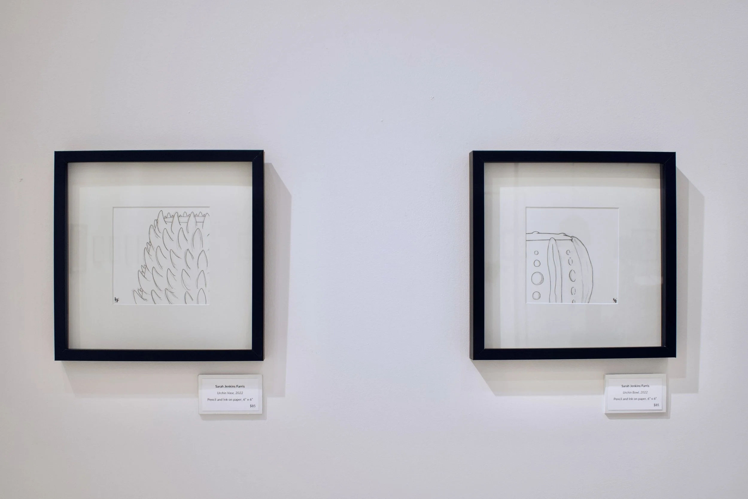 DSC_0816.jpeg