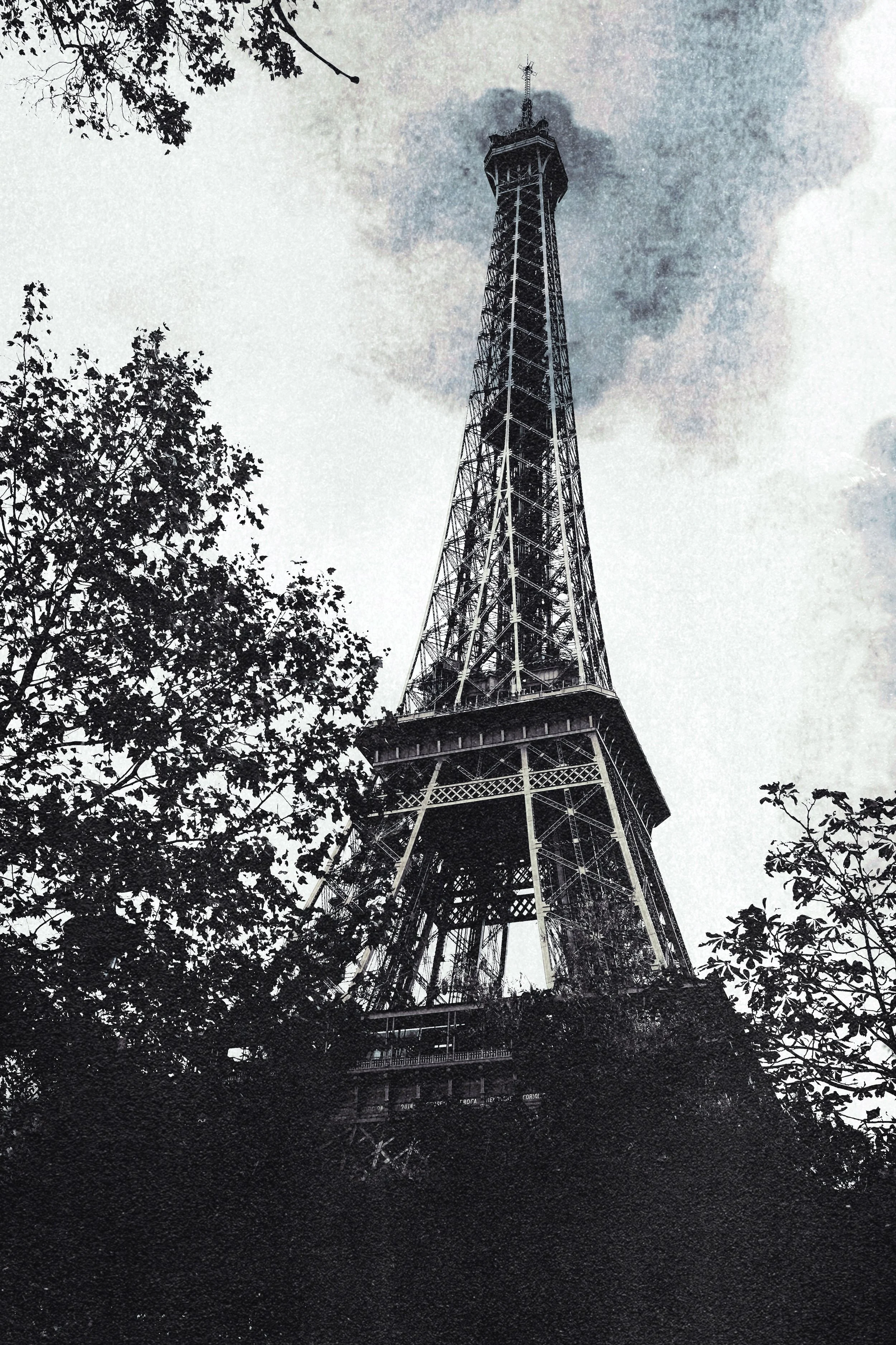 Eiffel Tower Print