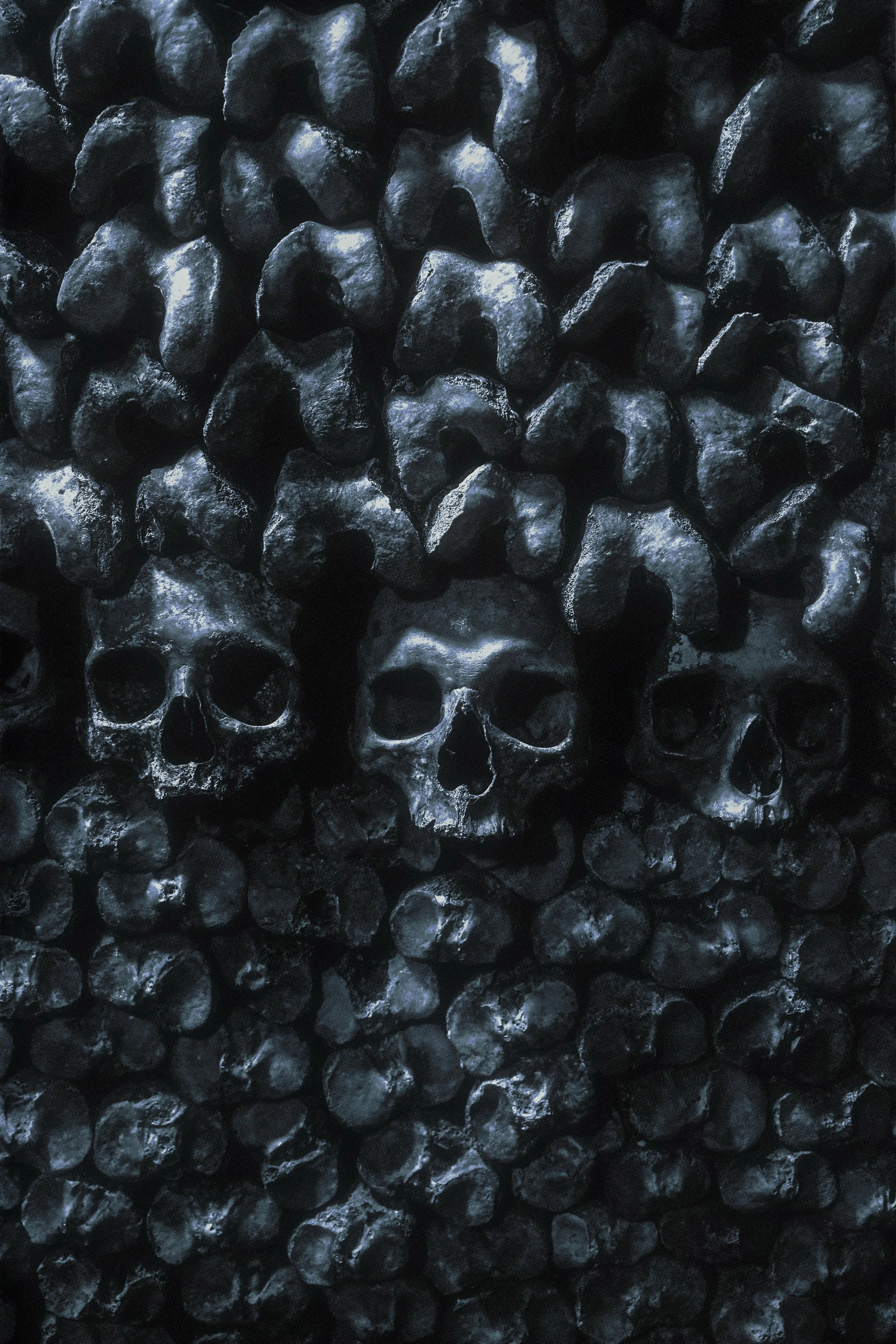 Paris Catacombs Print