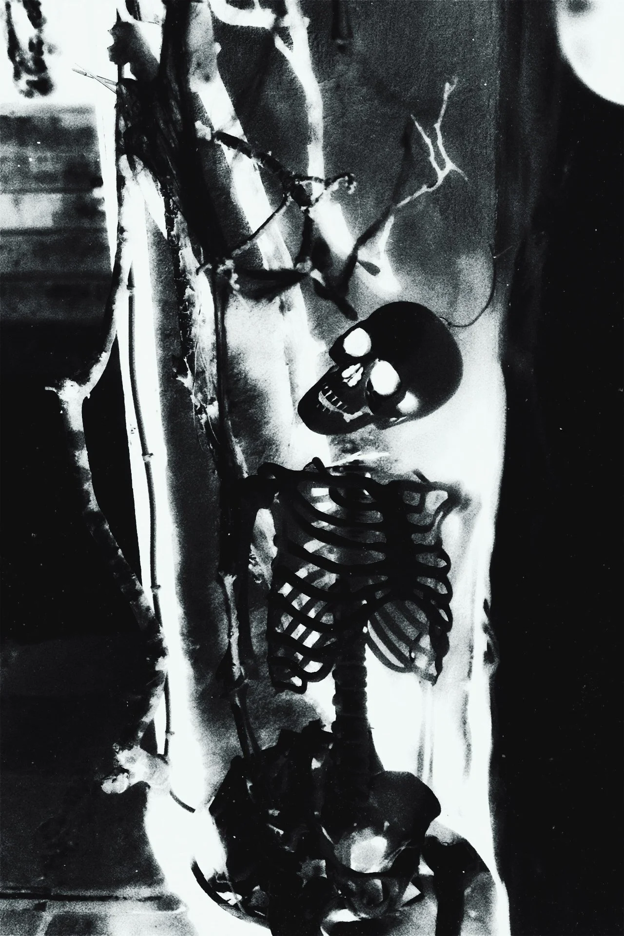 Skeleton Print