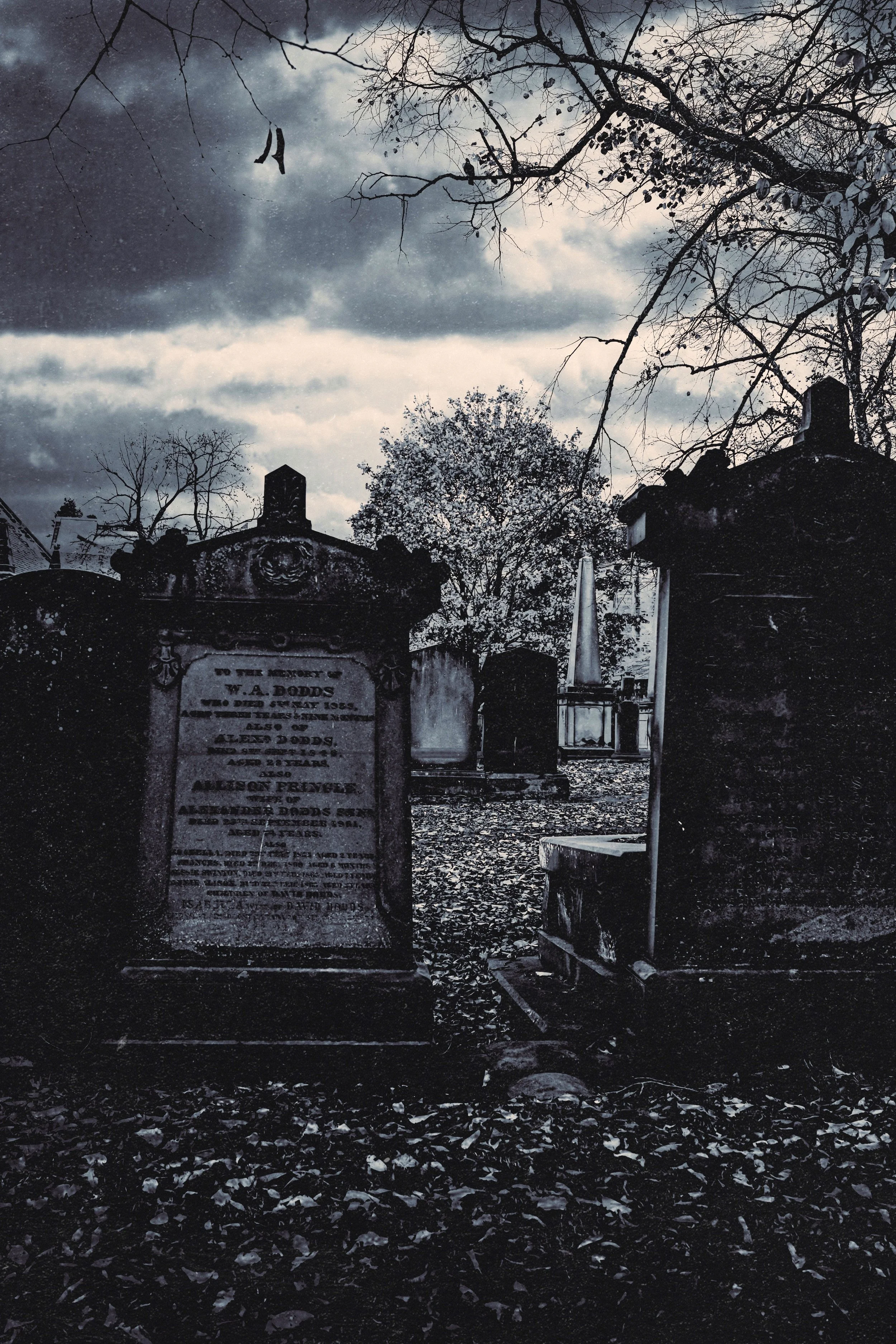 Greyfriars Kirkyard Print