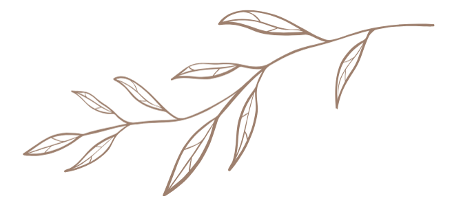 calm line drawing of a branch with leaves suggesting peace , change and tranquility