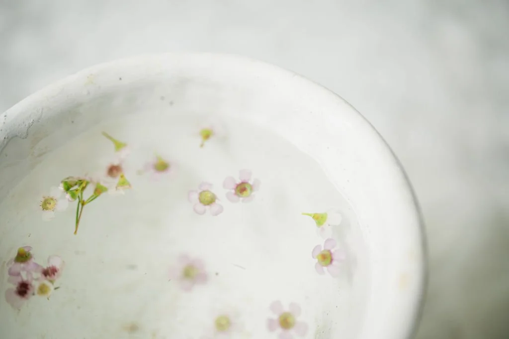 A white cup filled with water and small pink and white flowers floating on the surface.