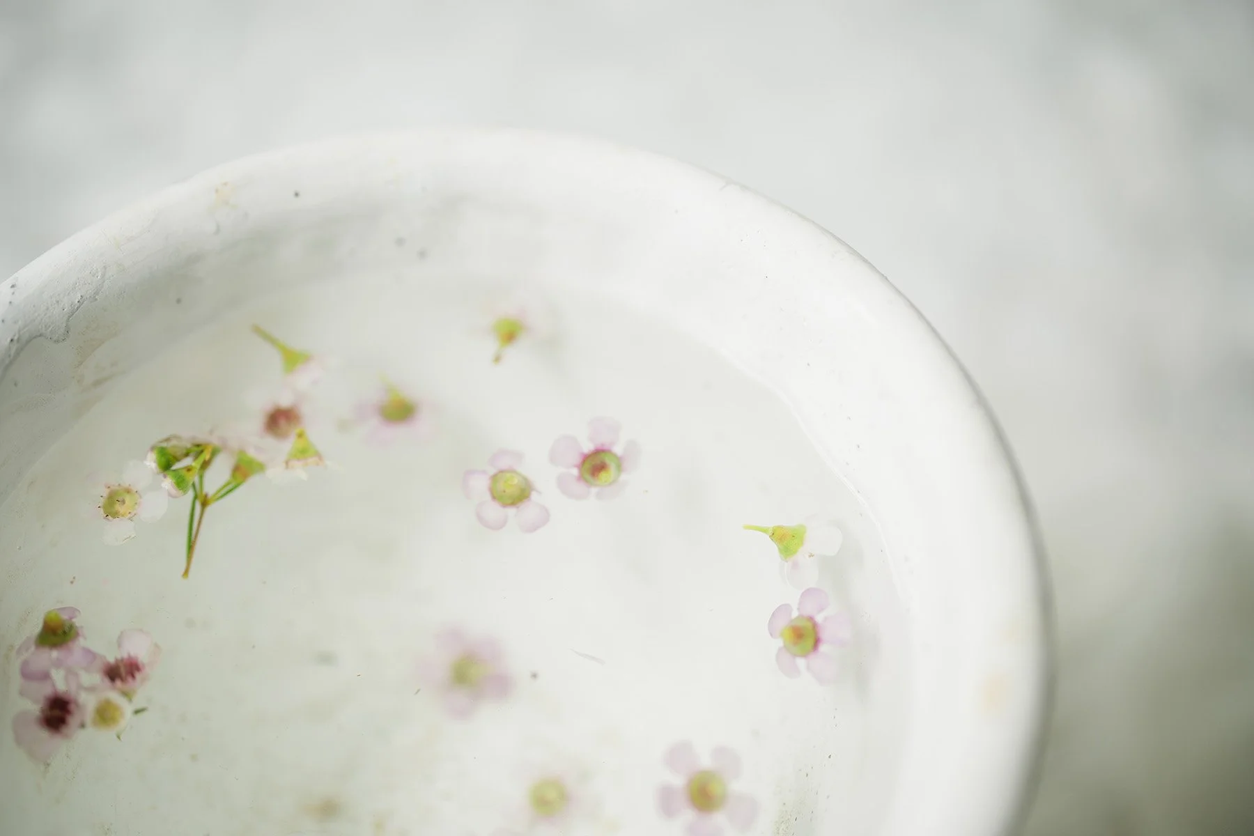 Close-up of a white bowl with small pink and green flower petals floating on water.