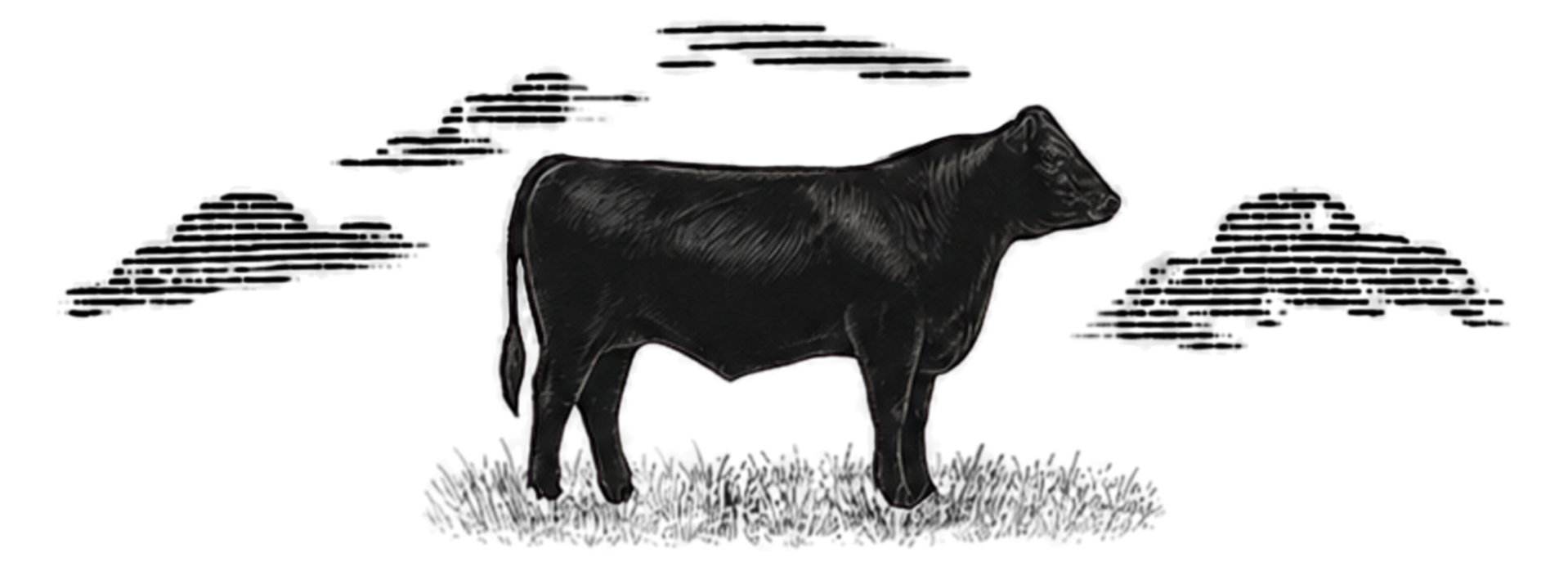 Black sculpture of a horse in a dark setting.