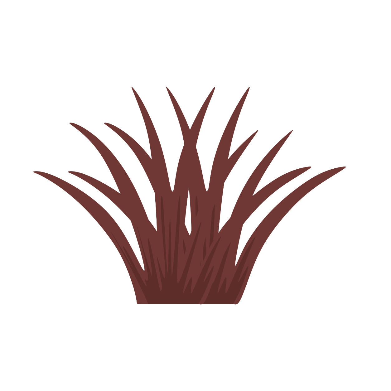 A digital illustration of a brown dry plant with long, pointed leaves.
