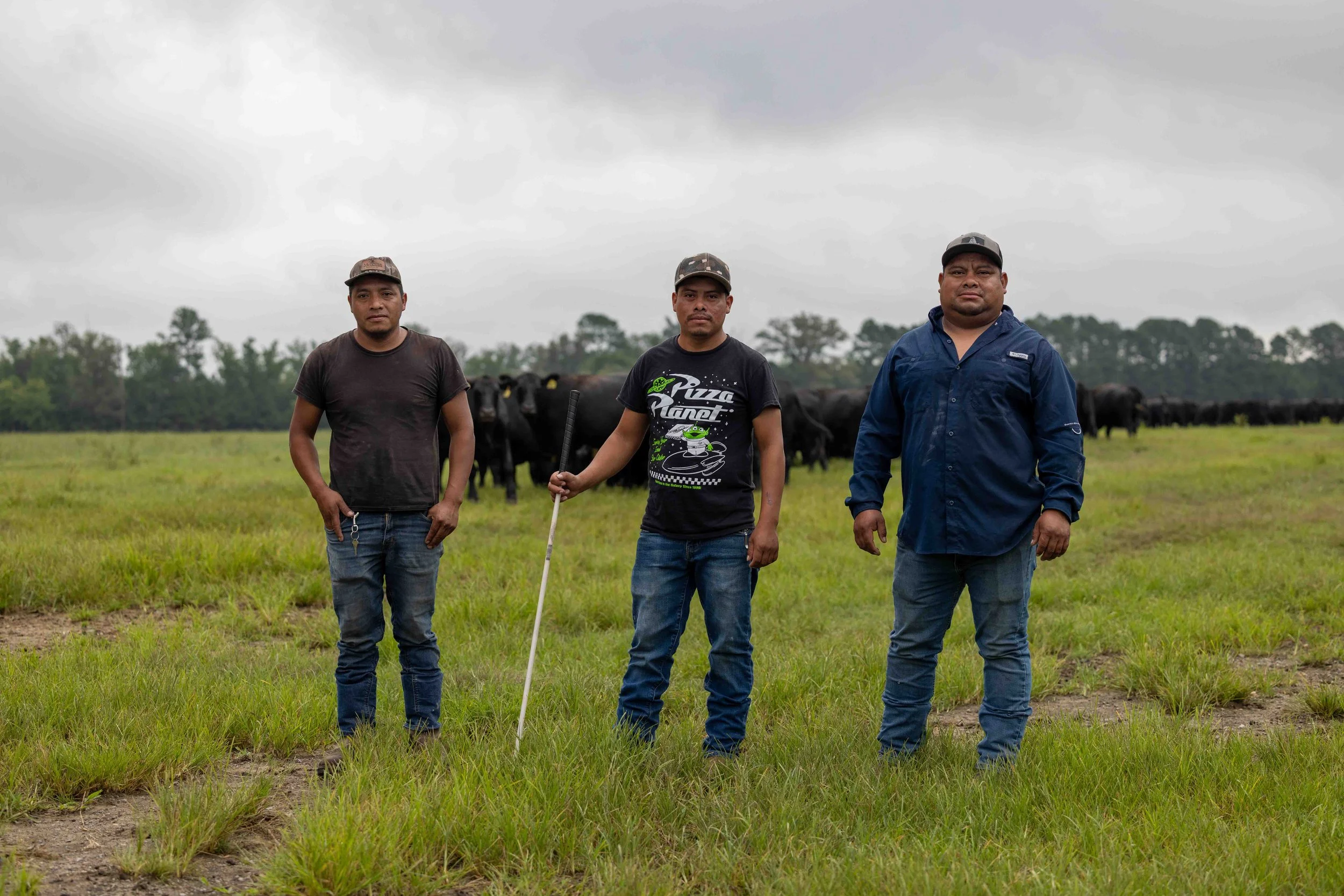 Three men standing in a grassy field with black cattle grazing behind them and cloudy skies overhead.