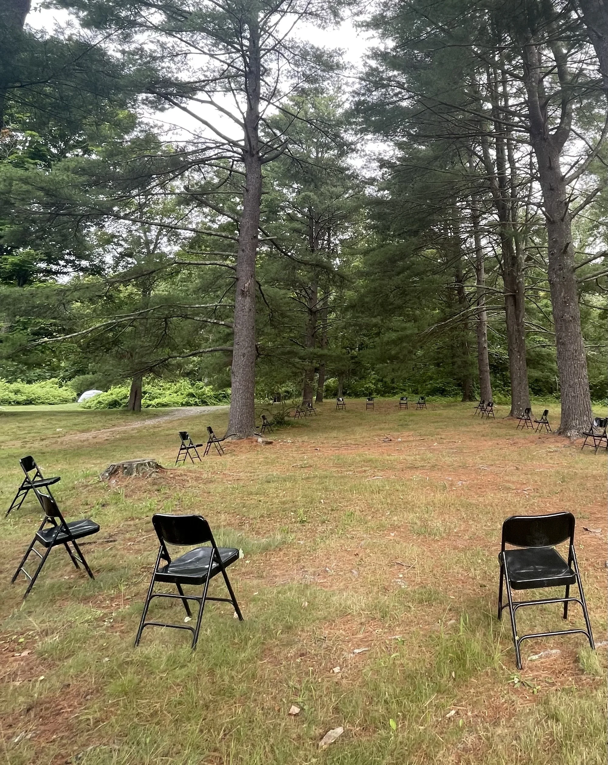 Folding chairs arranged among trees for an outdoor group gathering