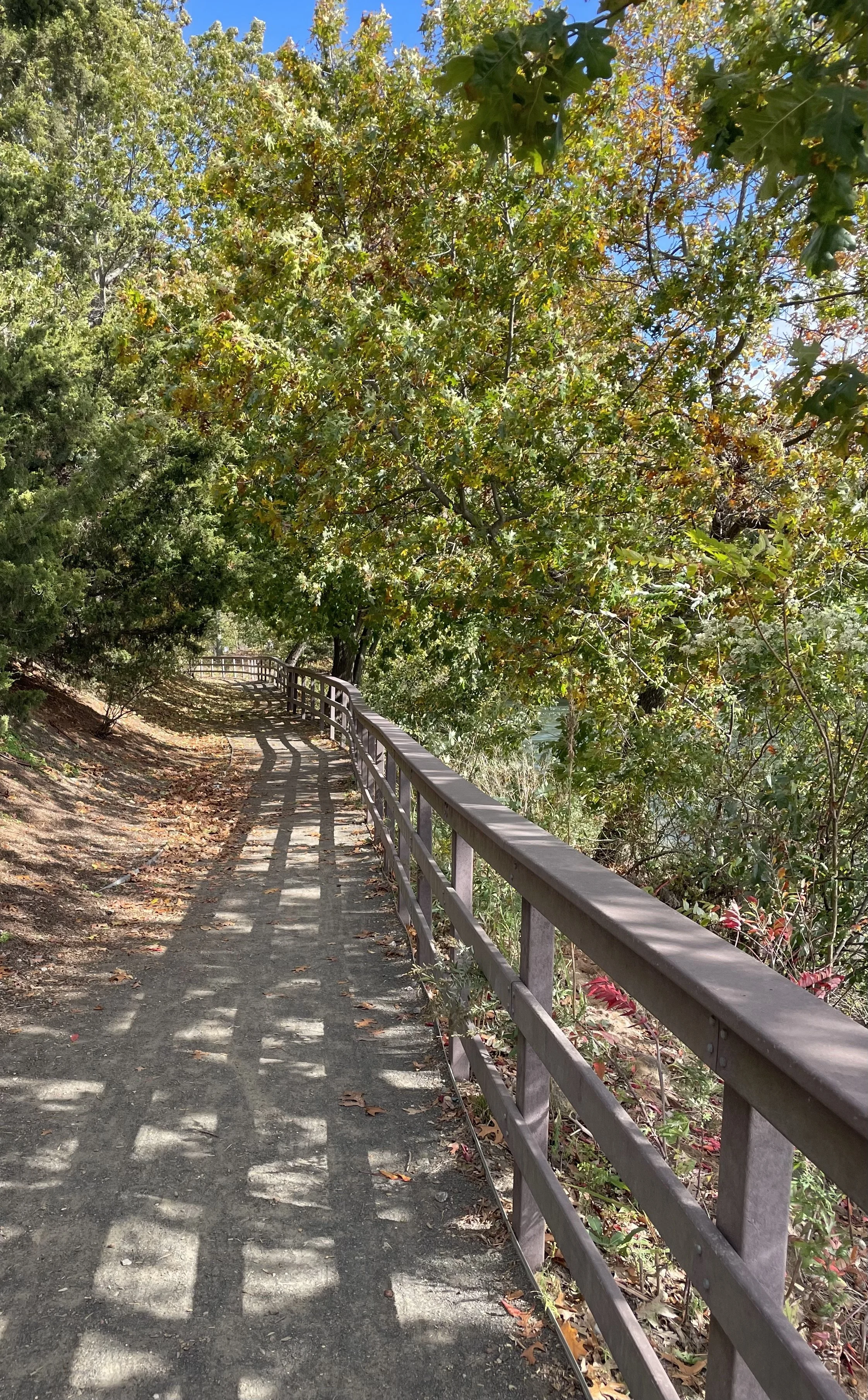 A wooden path curving forward through trees in a peaceful natural setting