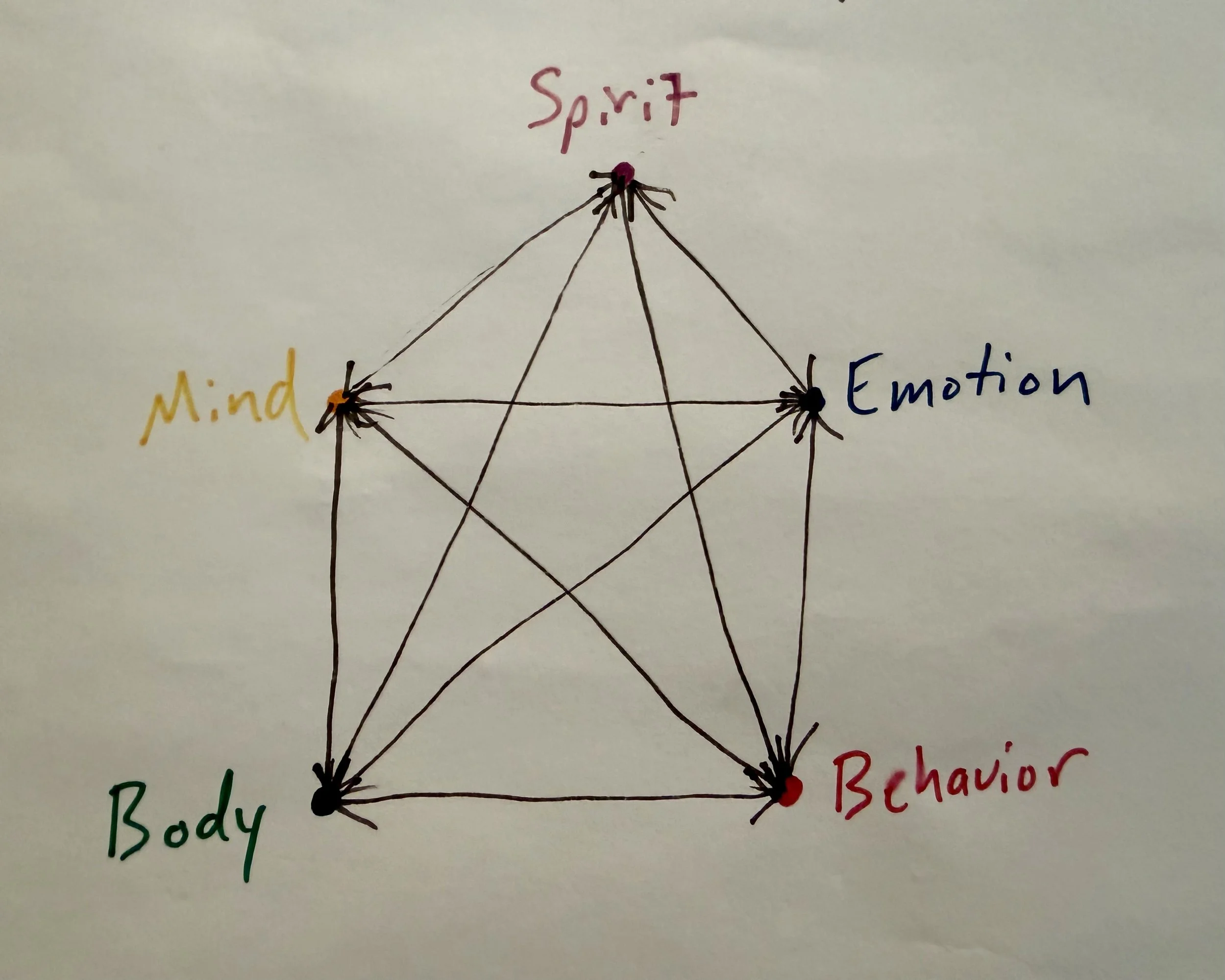 Hand-drawn diagram showing the interconnected relationship among body, mind, emotion, spirit, and behavior