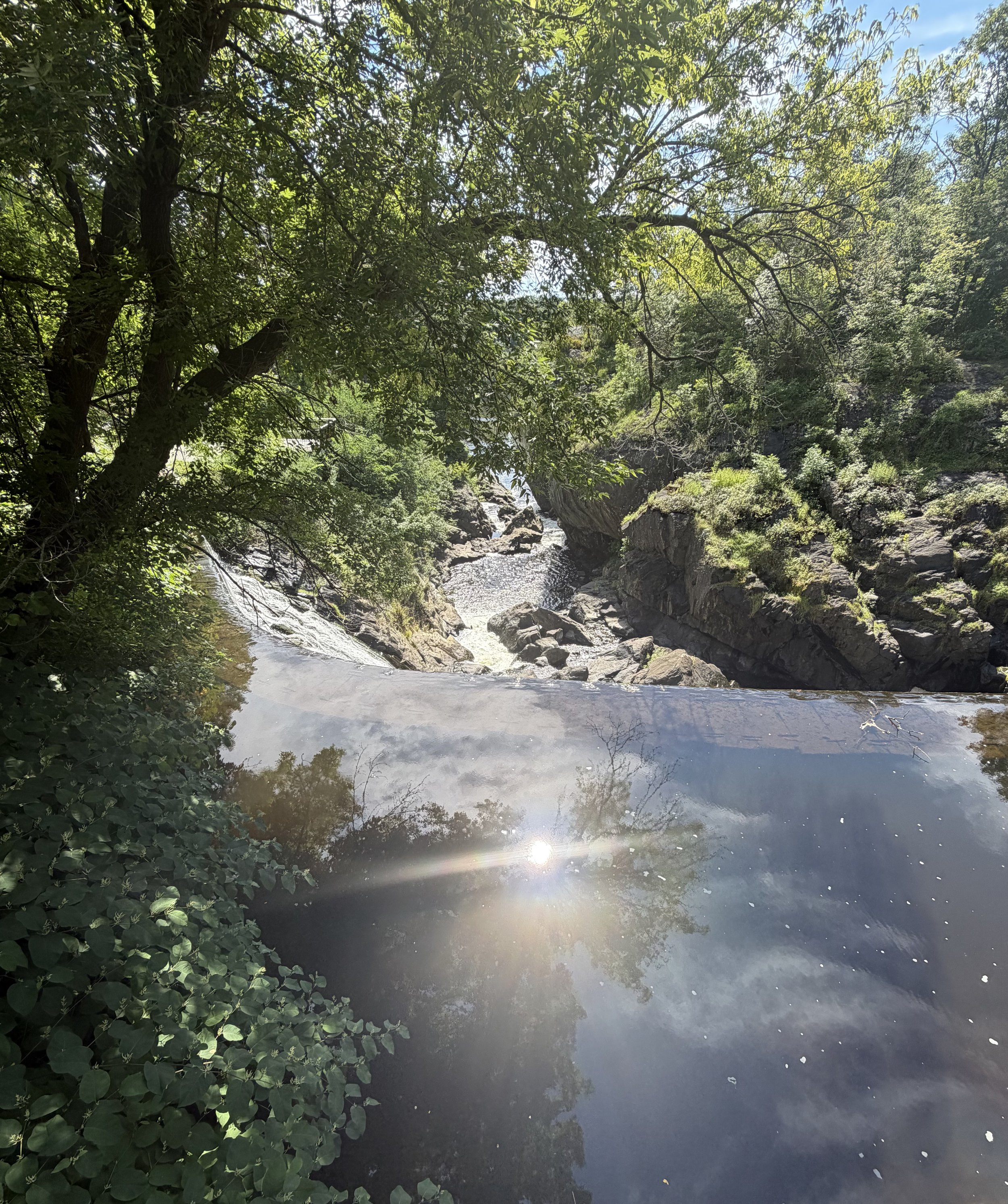Sunlight reflecting in water above a rocky waterfall surrounded by trees