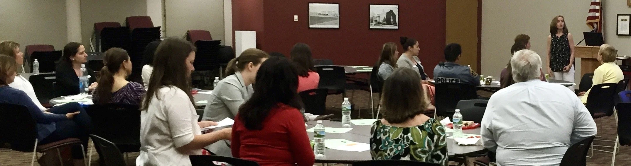 Mary VonO presenting to a seated group of educators, therapists, and community professionals.