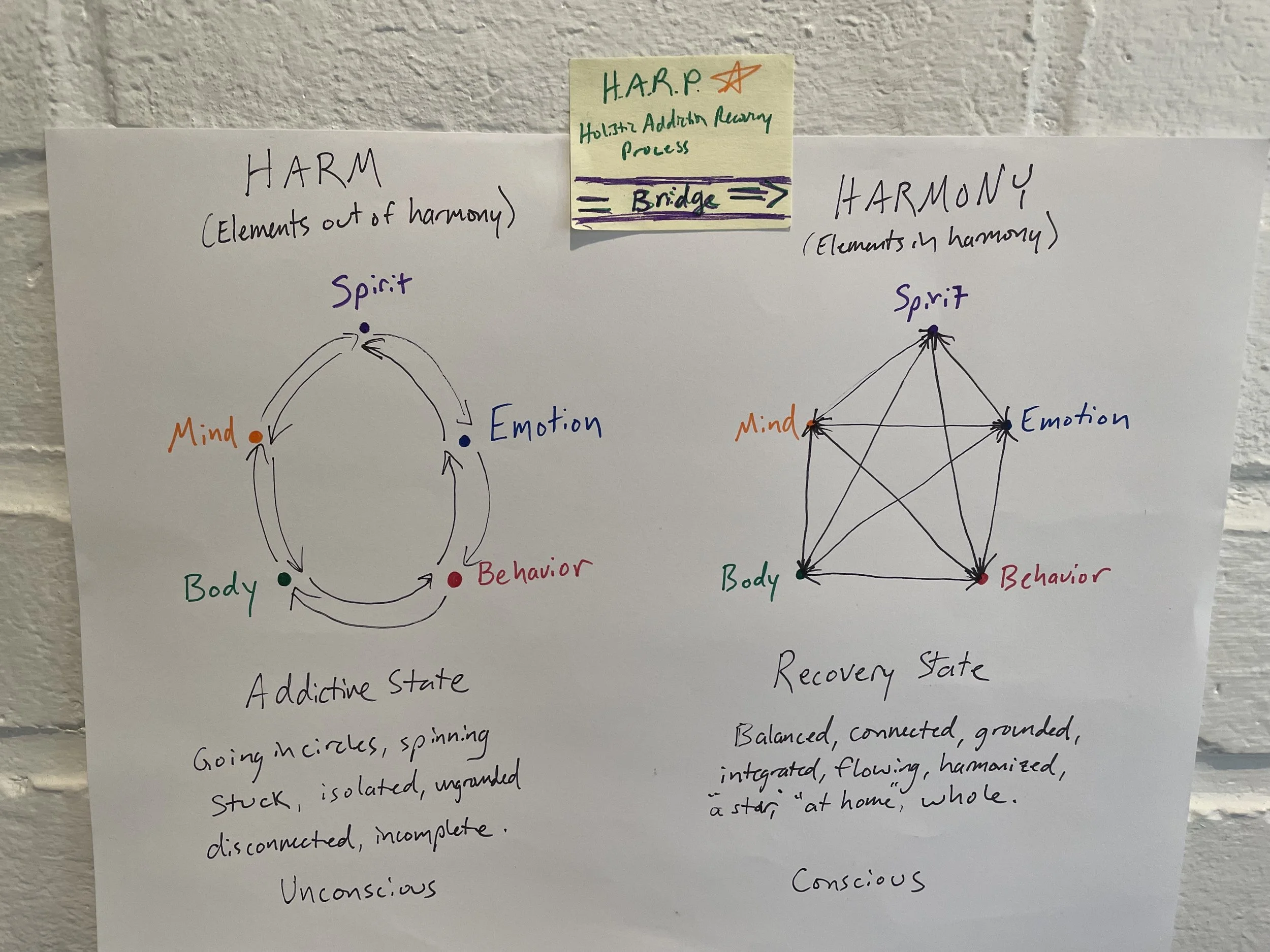 Early hand-drawn HARP™ sketch comparing harm and harmony across body, mind, emotion, spirit, and behavior