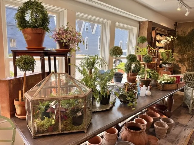 My Paris Maison boutique, where European charm meets timeless living, offers home décor, garden treasures, antiques, vintage finds, and beautifully layered pieces designed to bring style into your home.