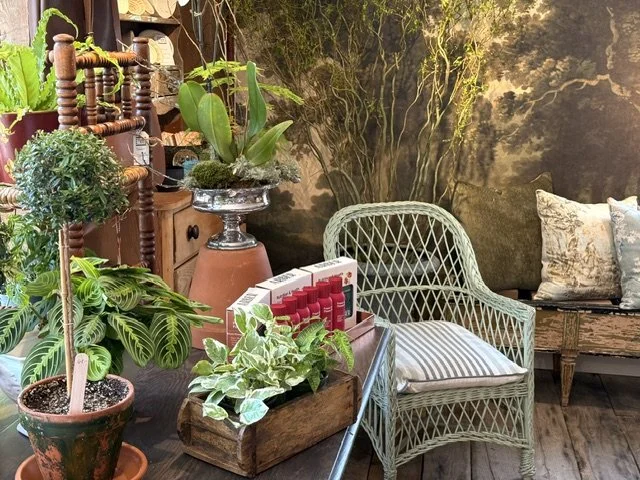 My Paris Maison boutique, where European charm meets timeless living, offers home décor, garden treasures, antiques, vintage finds, and beautifully layered pieces designed to bring style into your home.