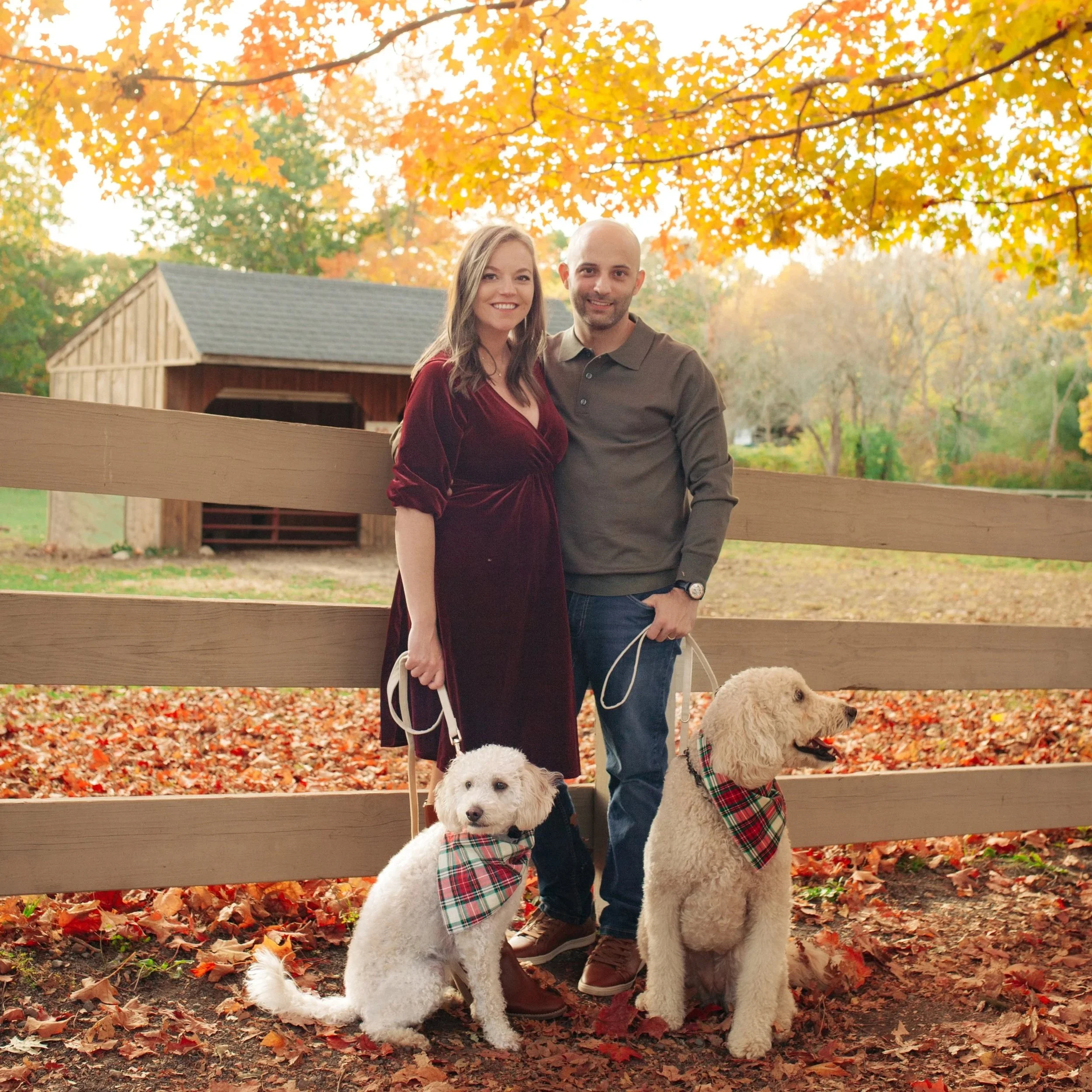 The Bernardos Fall Photos